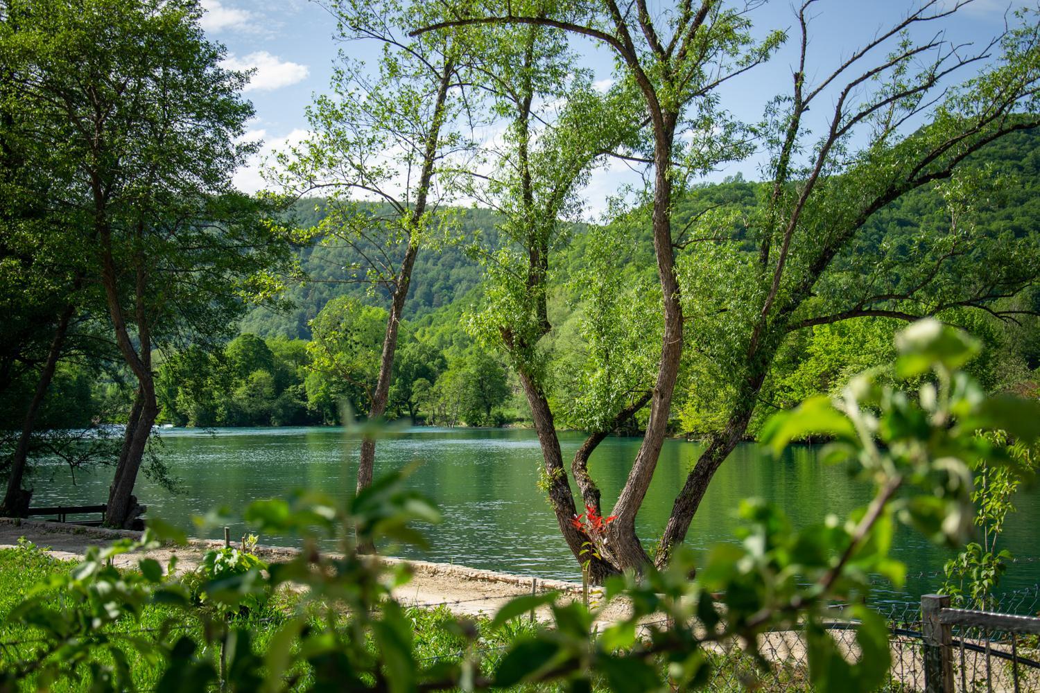 Oasis of peace