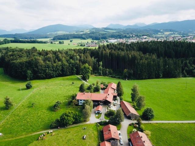 Hofwies-Exklusiv - Privates Luxus-Boutique Ferienhaus 8 Pax