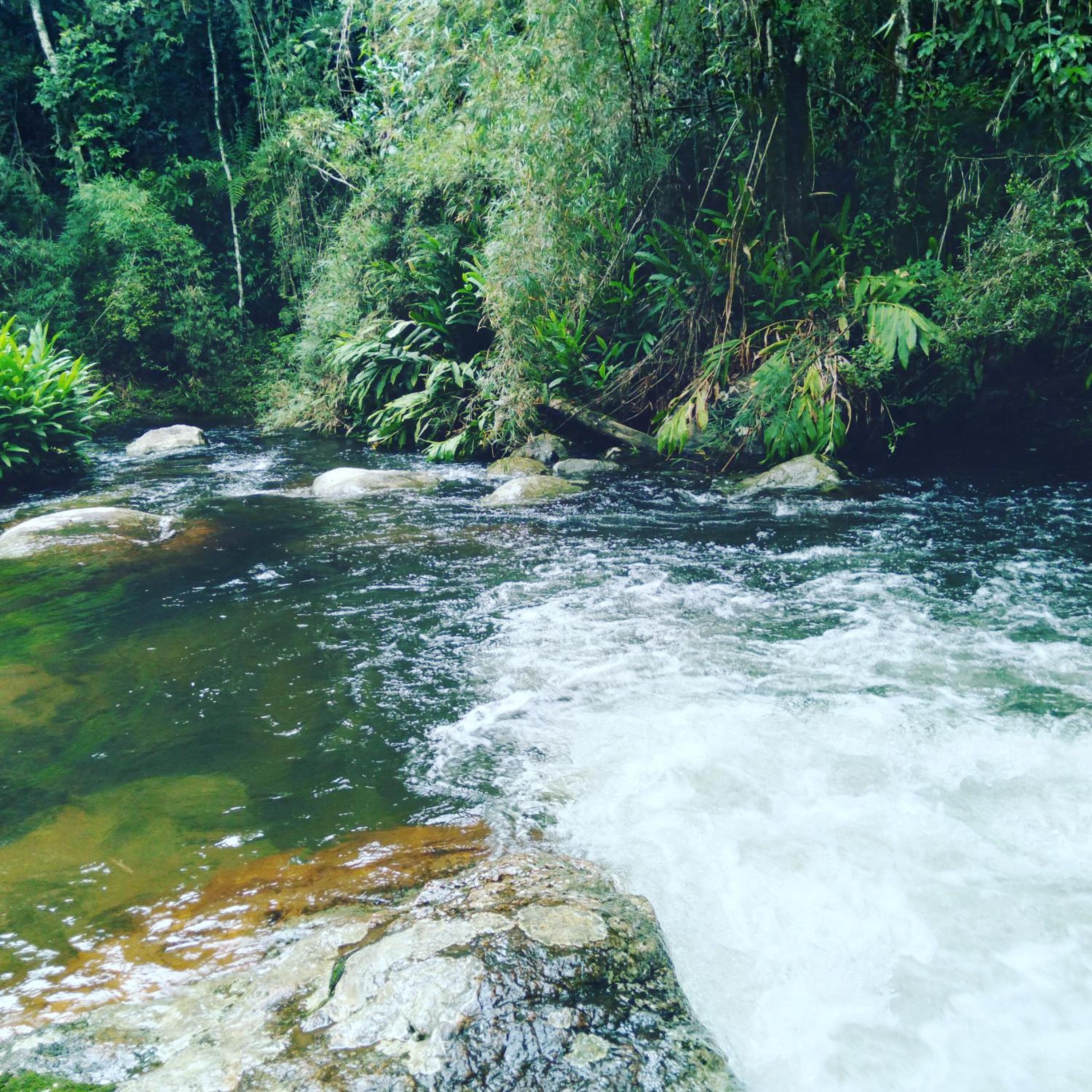 Rancho Pedra do Picú