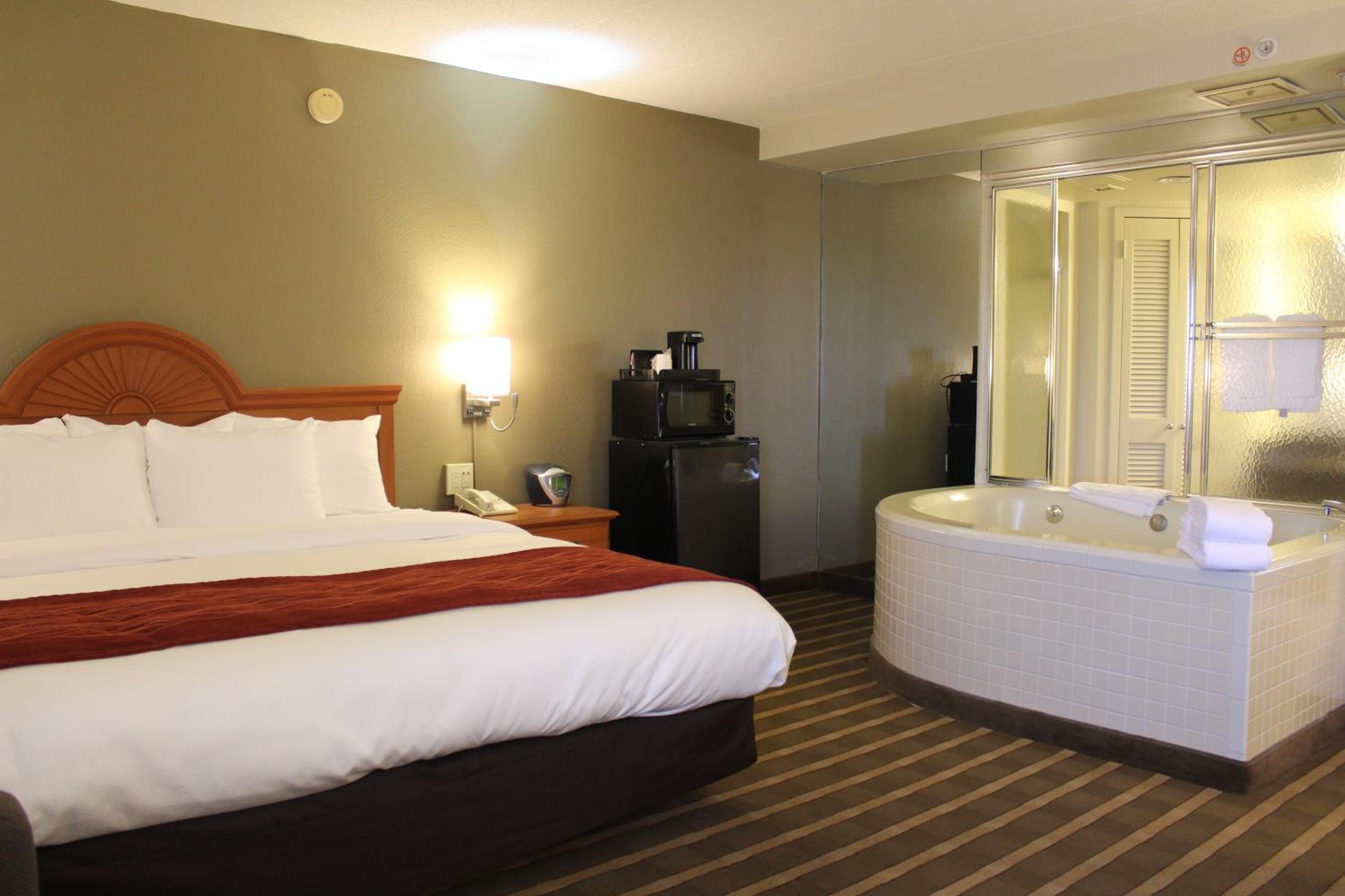 Comfort Inn University Center - Property Image 30
