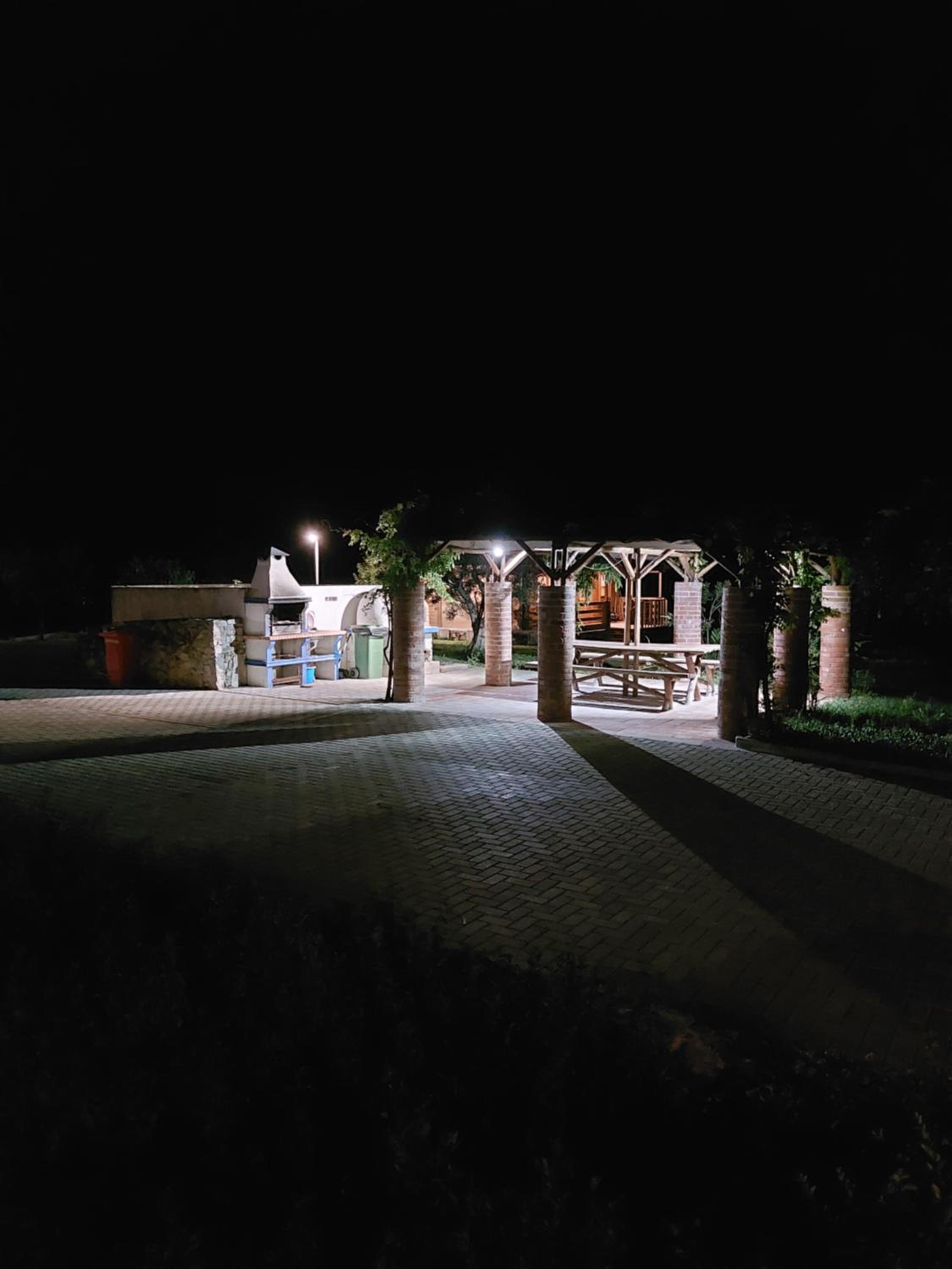 Photo 41