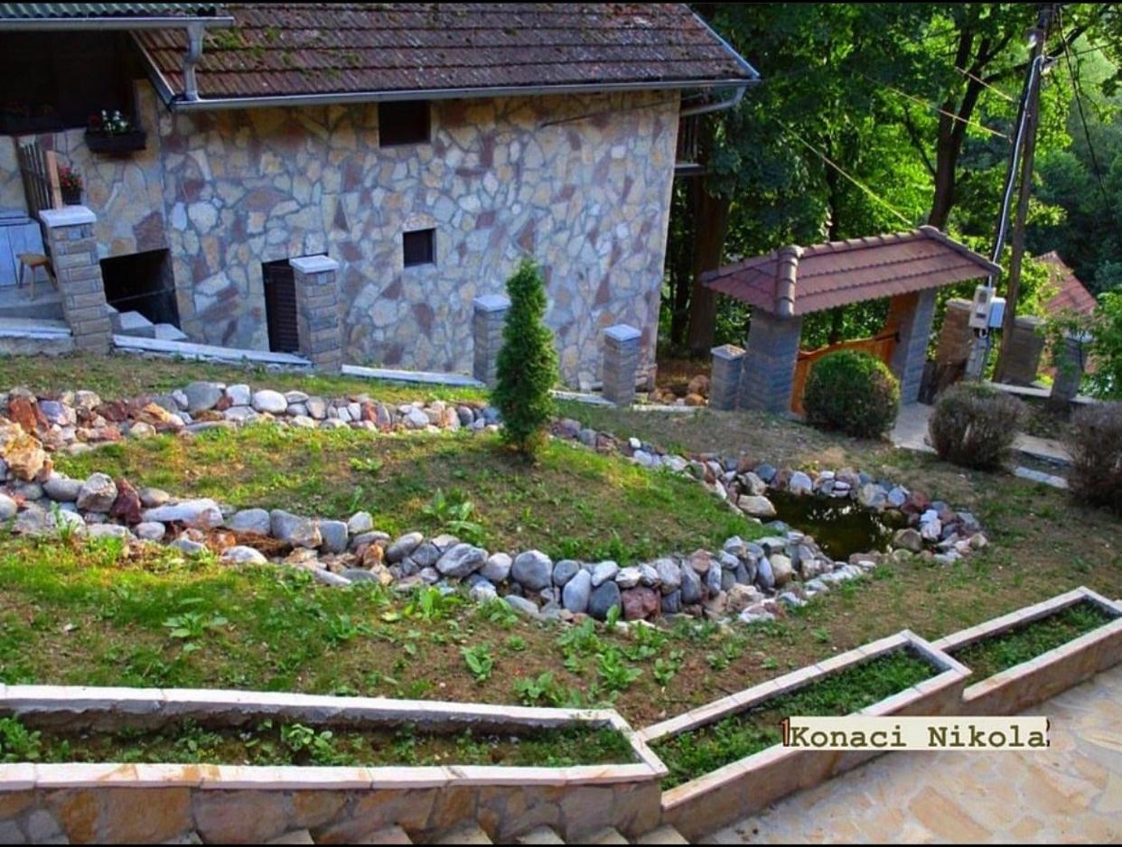 Photo 11