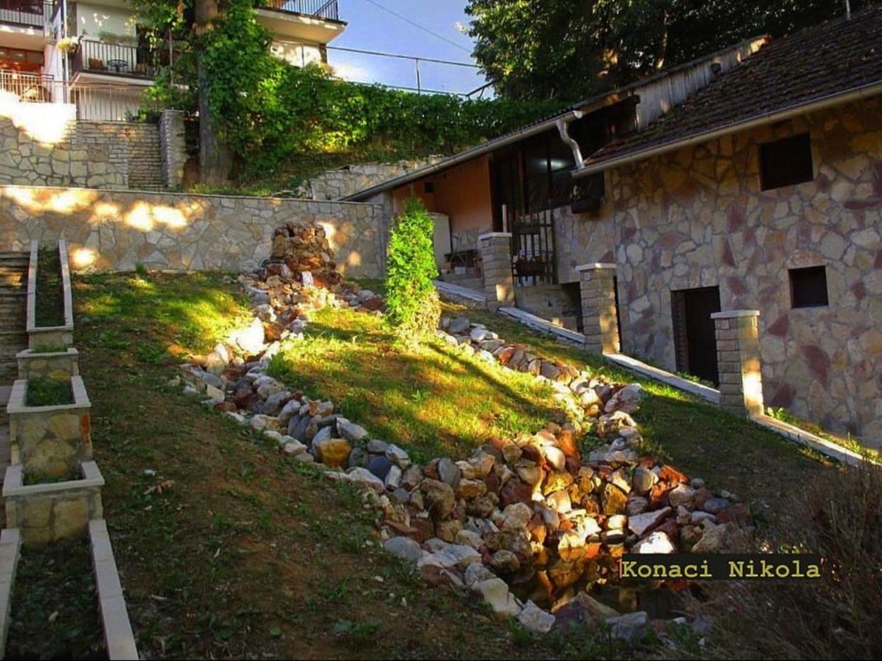 Photo 9