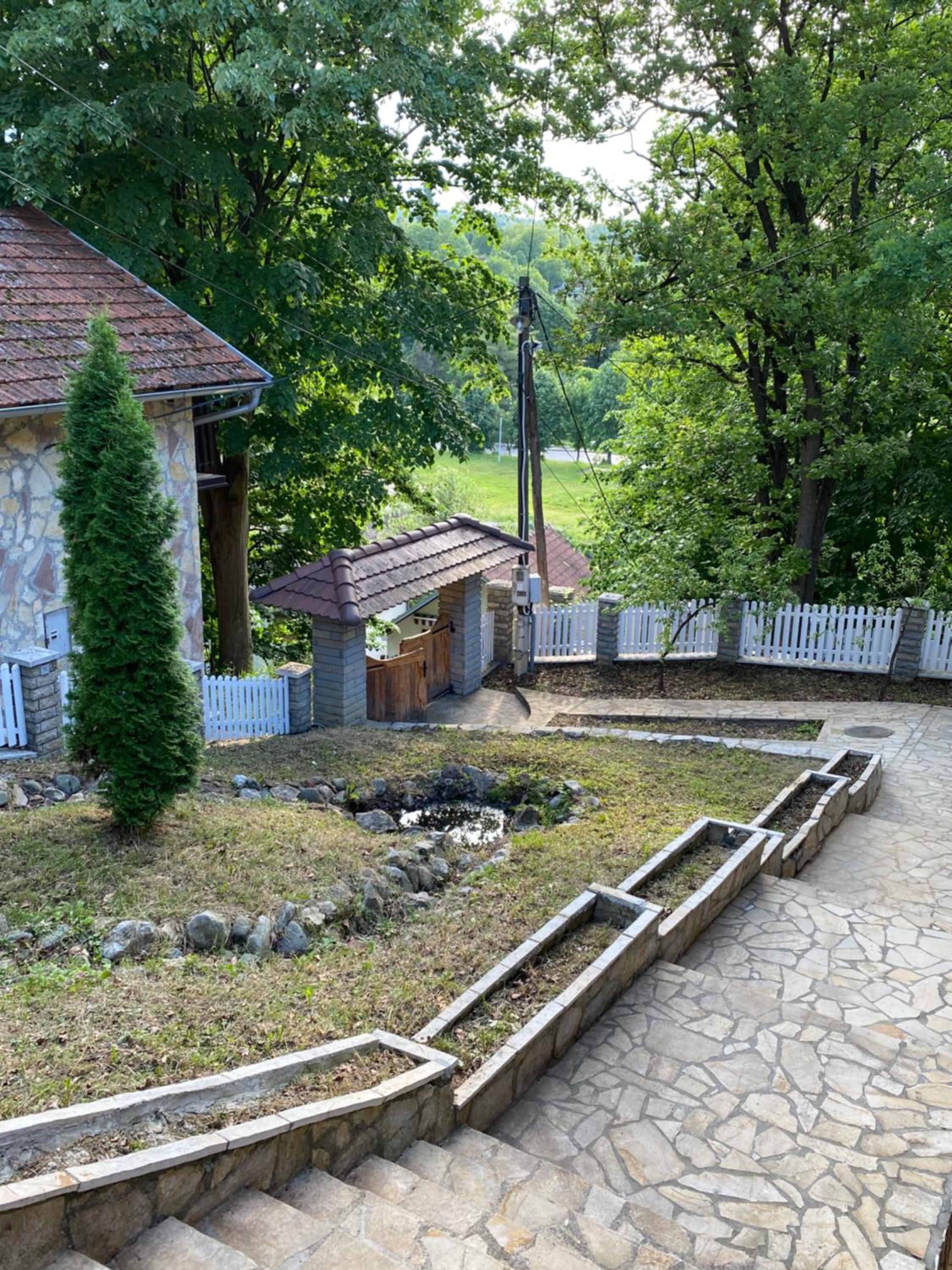 Photo 10
