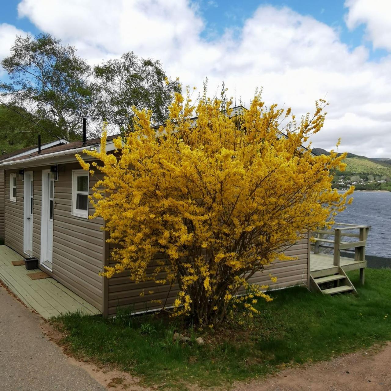 Knotty Pine Cottages, Suites & Motel Rooms