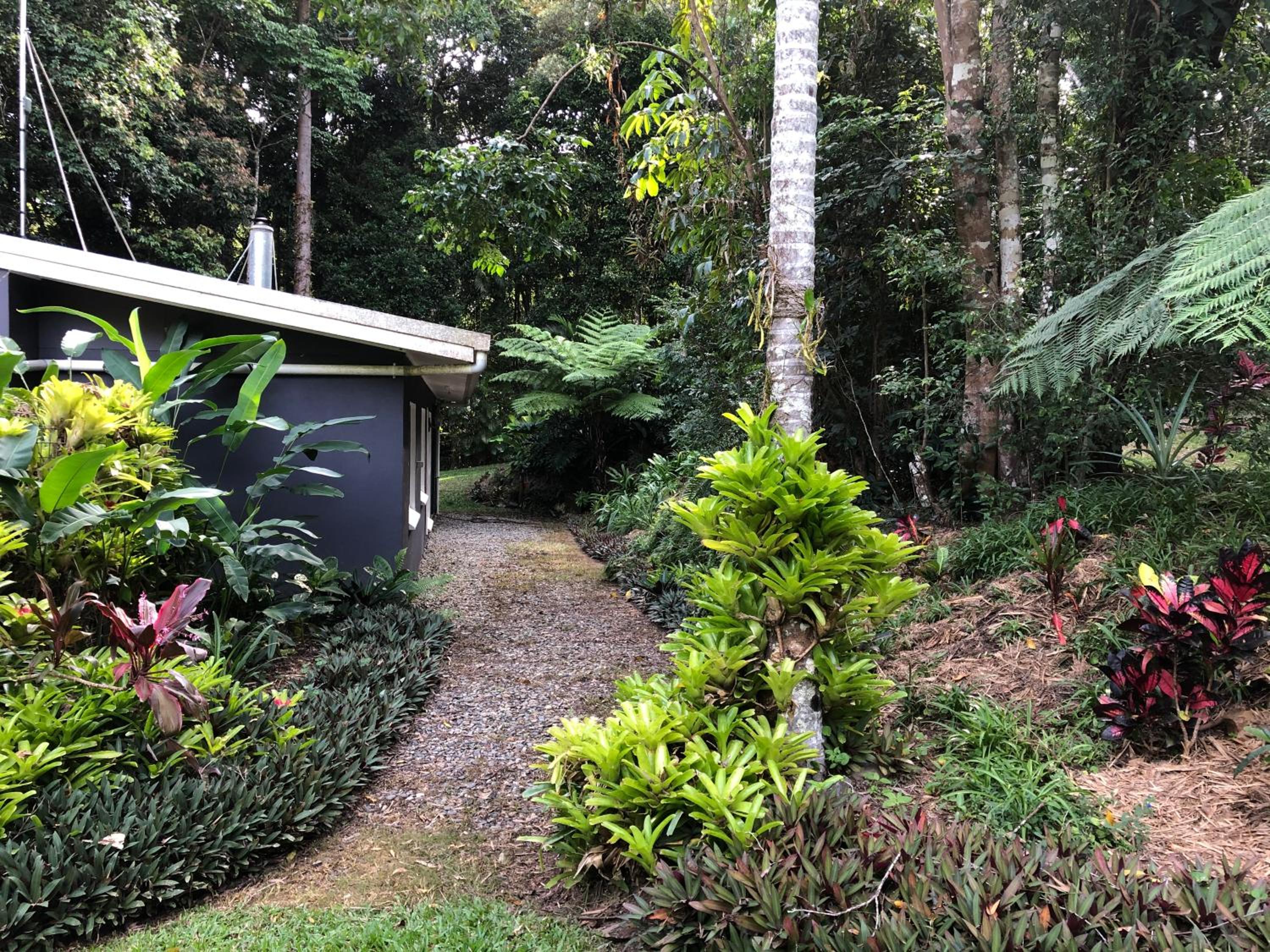 Honeybee House Cottage in the Rainforest