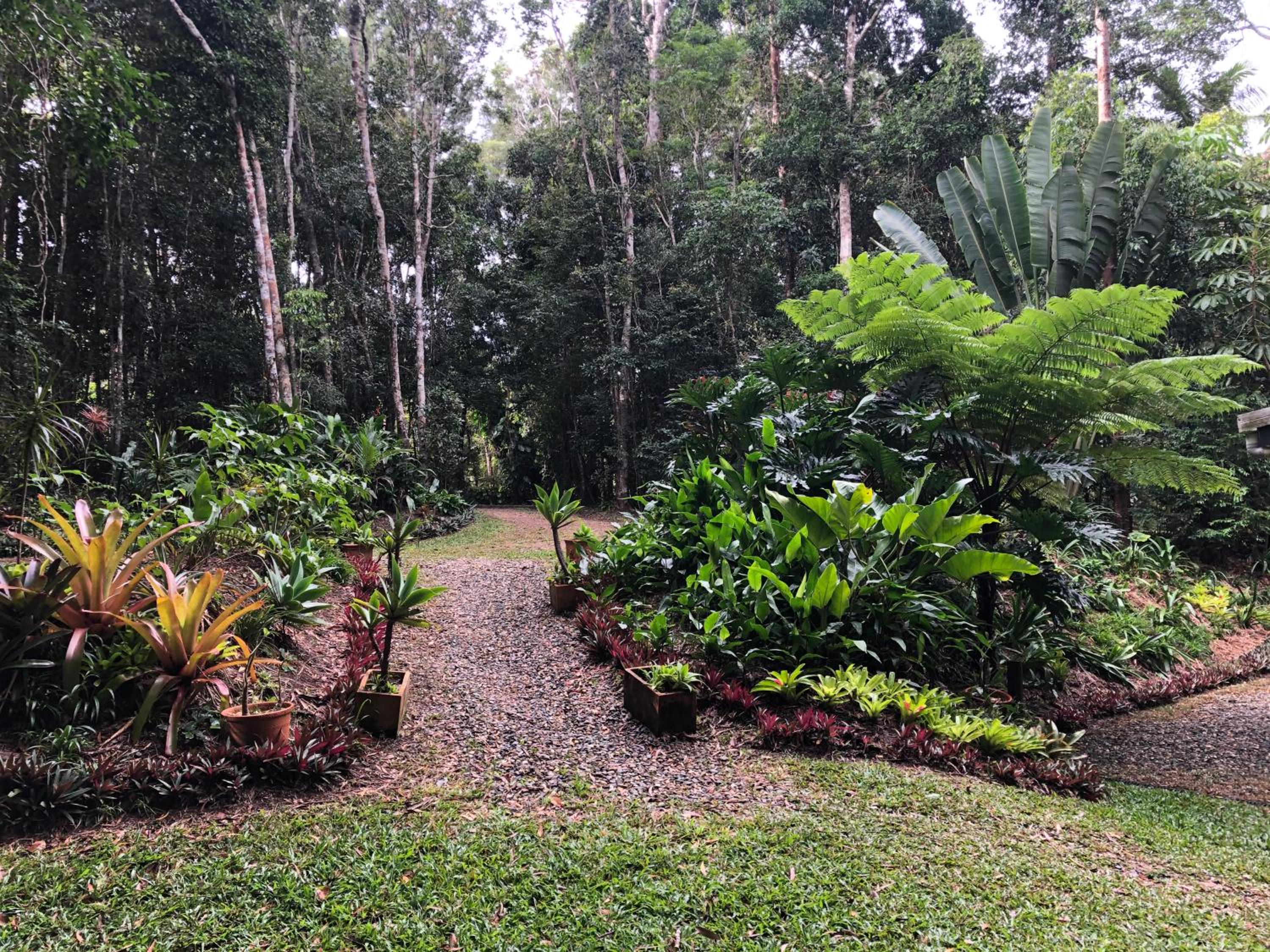 Honeybee House Cottage in the Rainforest