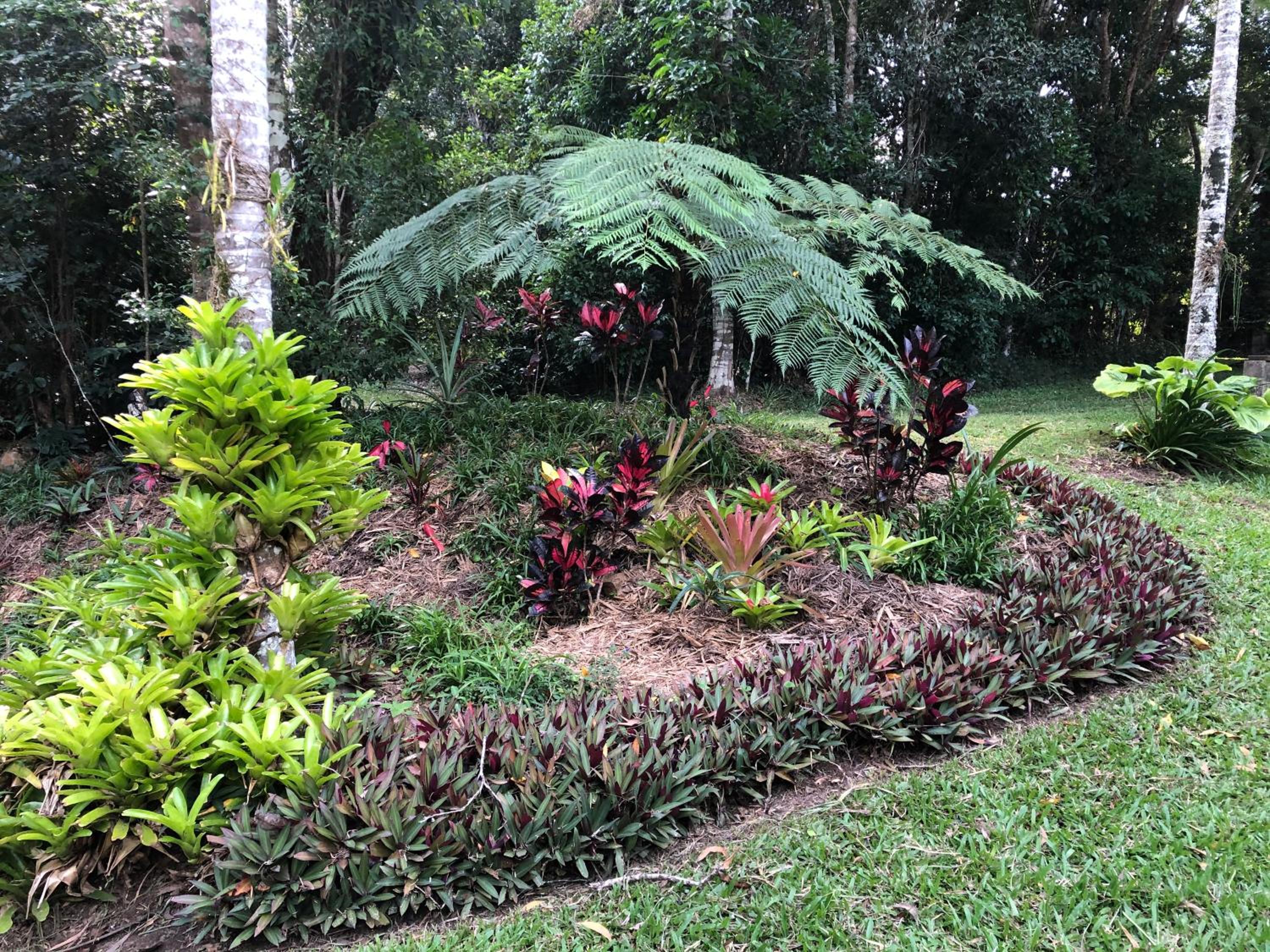 Honeybee House Cottage in the Rainforest