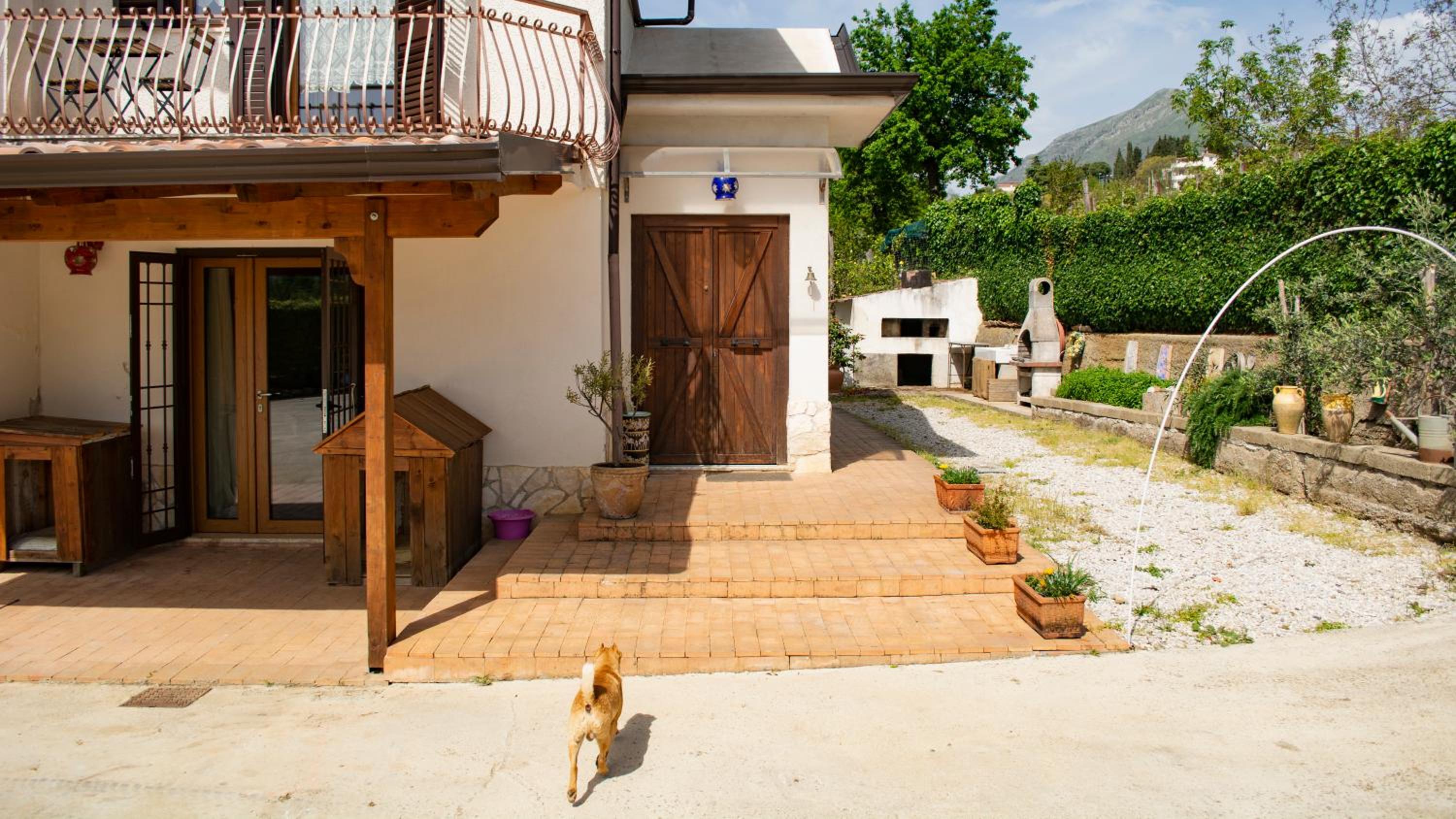 Photo 41
