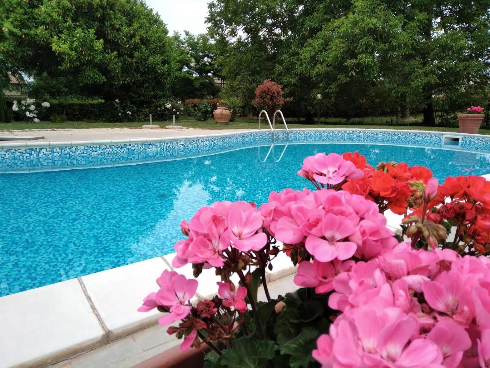 Photo 23