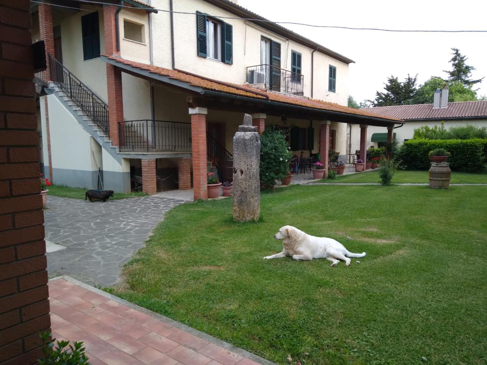 Photo 29