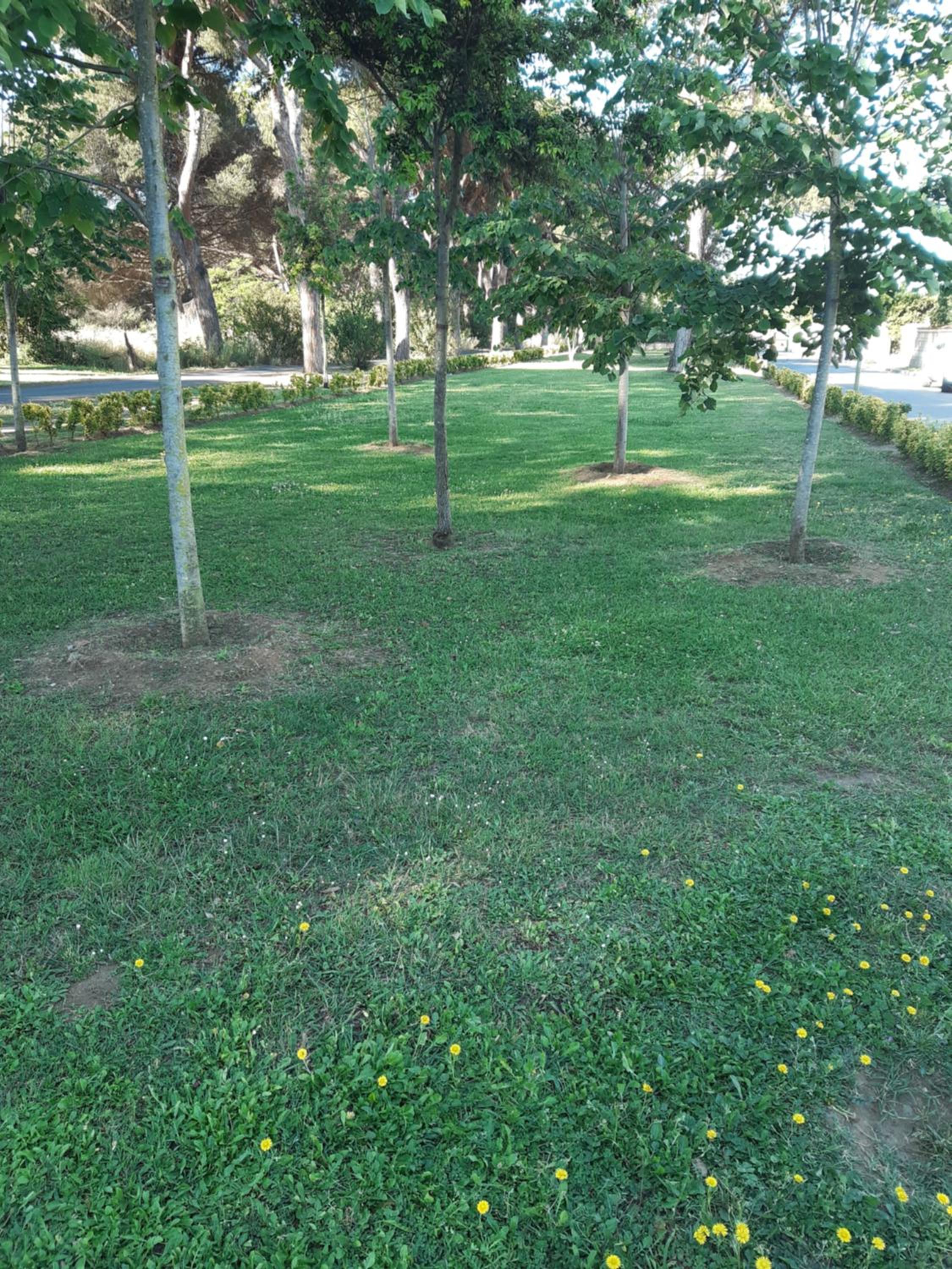 Photo 48