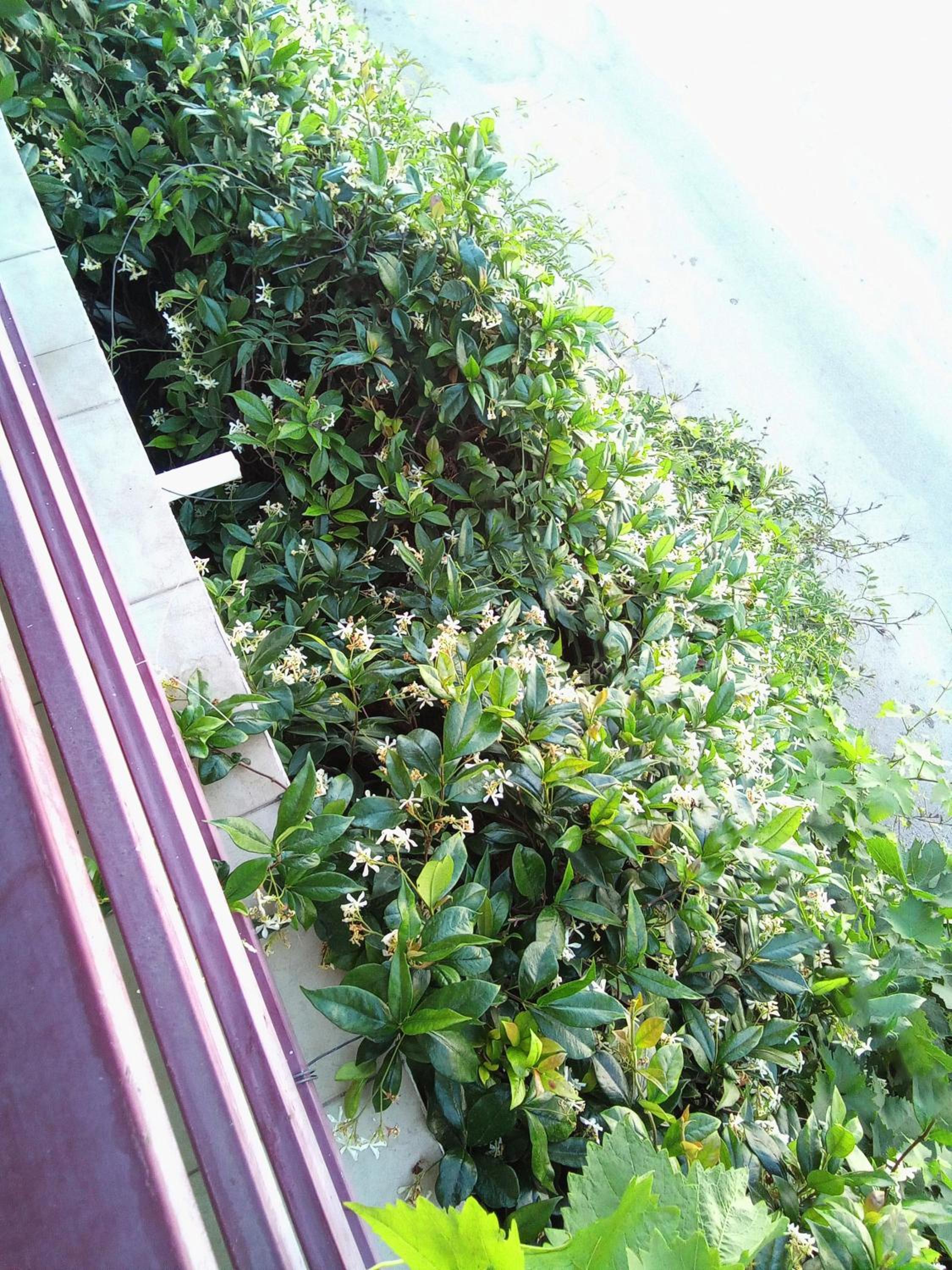 Photo 33