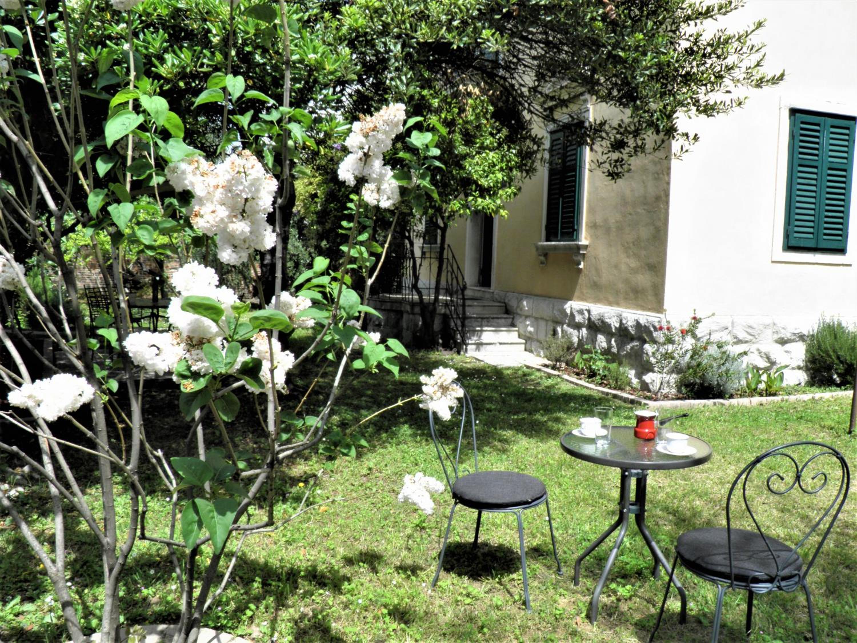 Photo 46