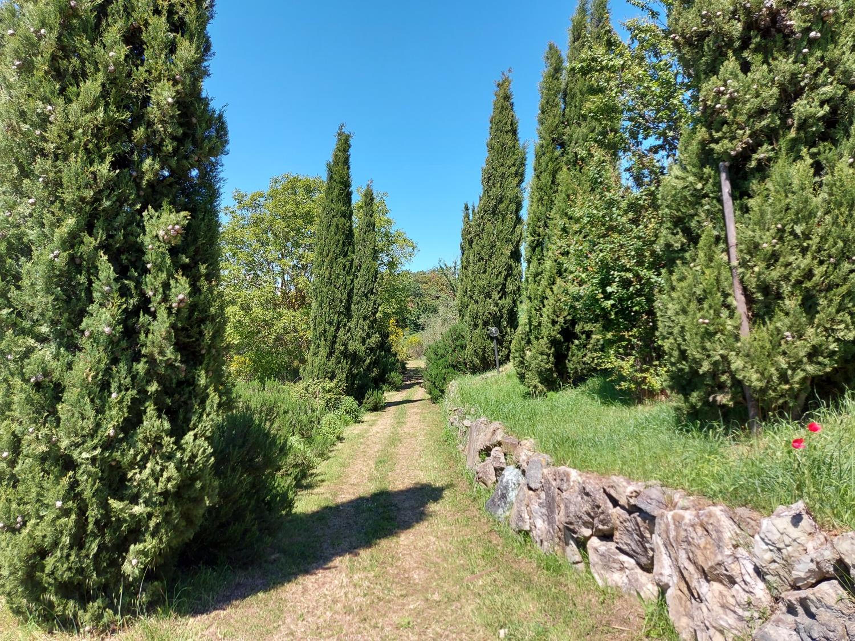 Photo 26