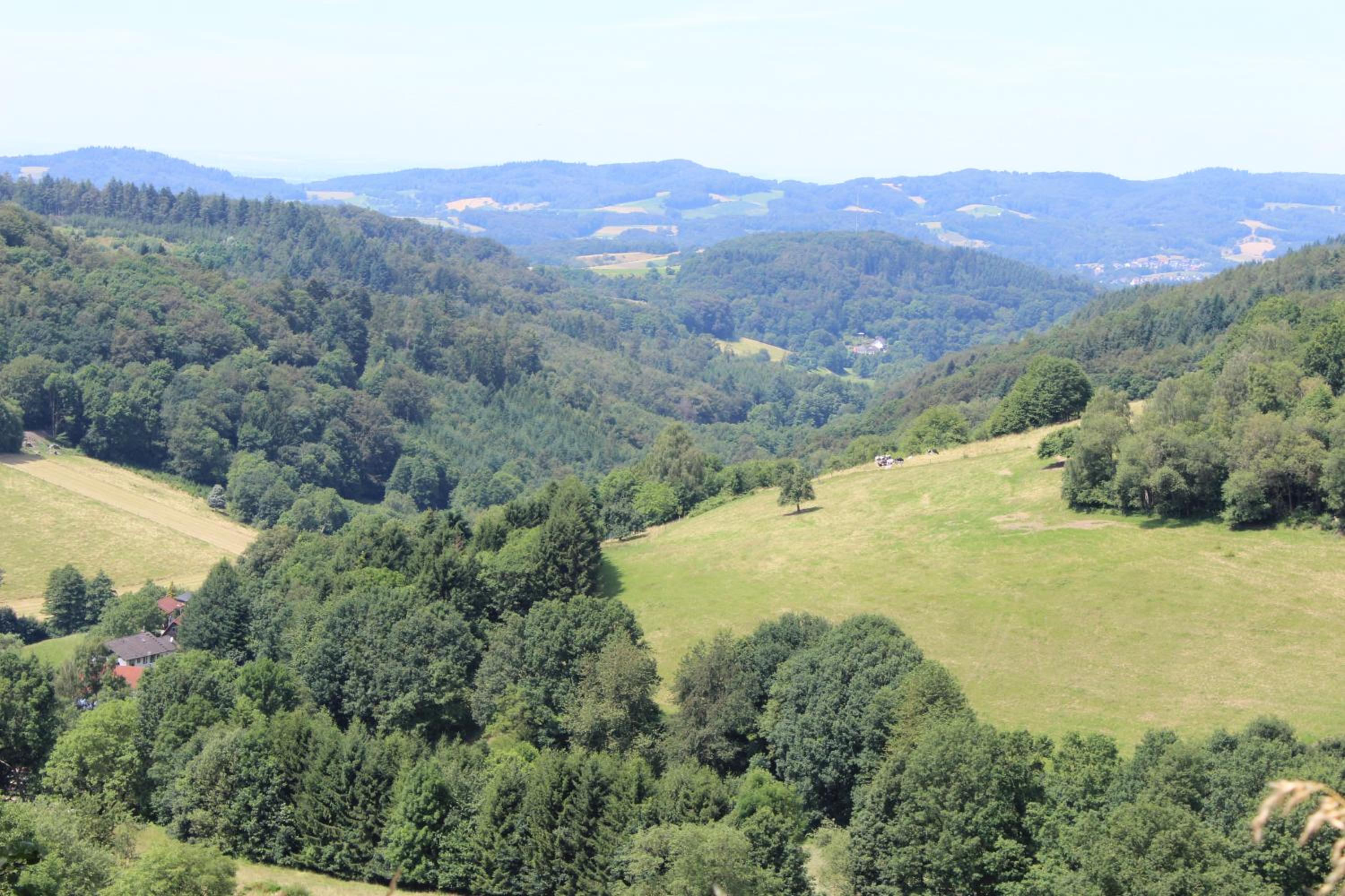 Ferienwohnung Rimbach