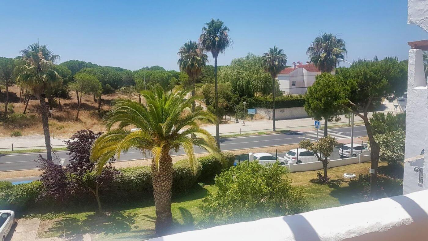 Playa entre pinares view 2