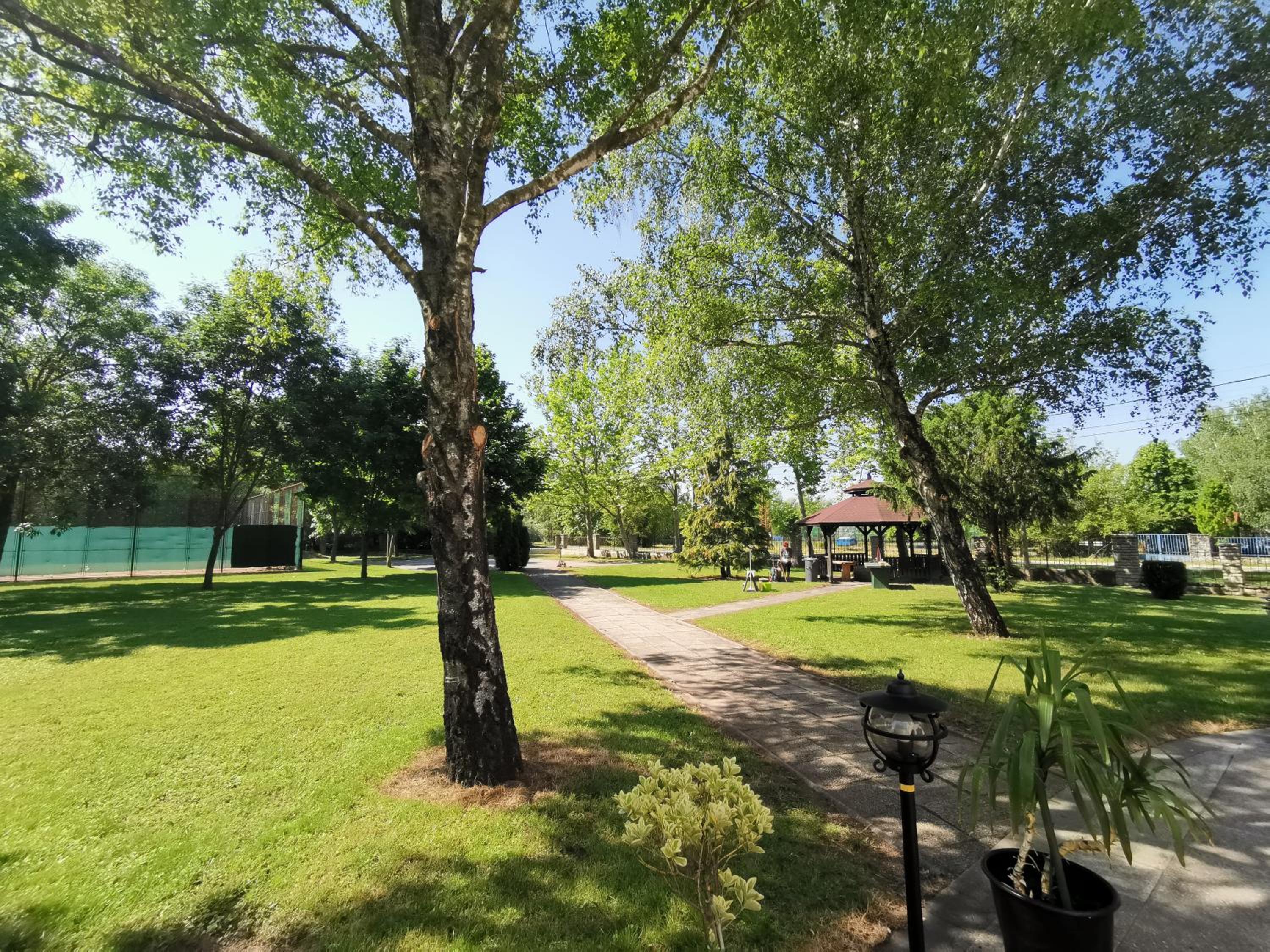 Photo 20