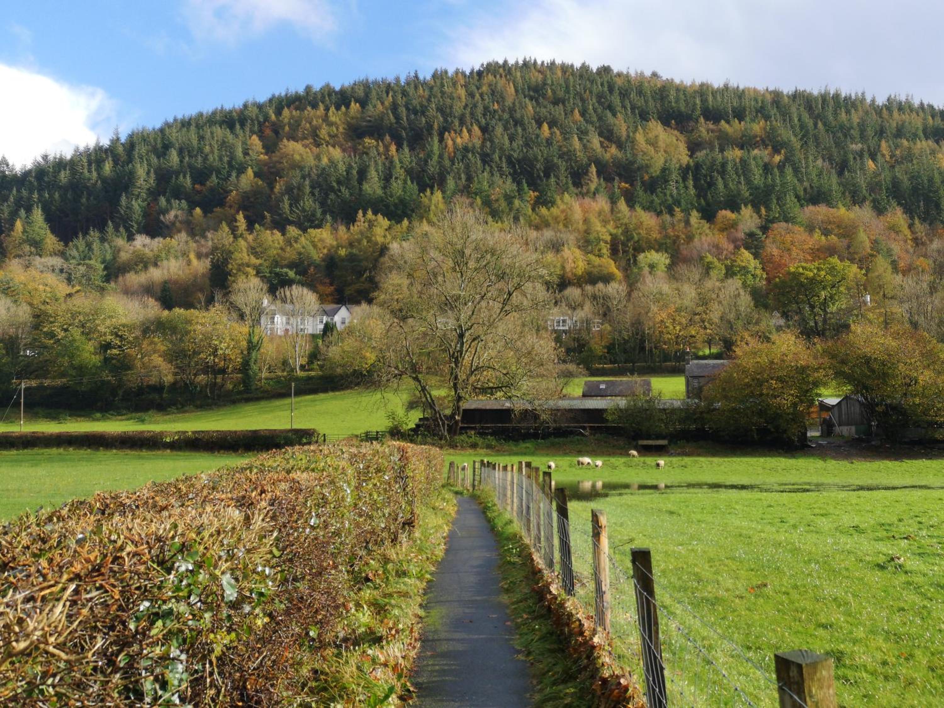 Aberconwy House B&B