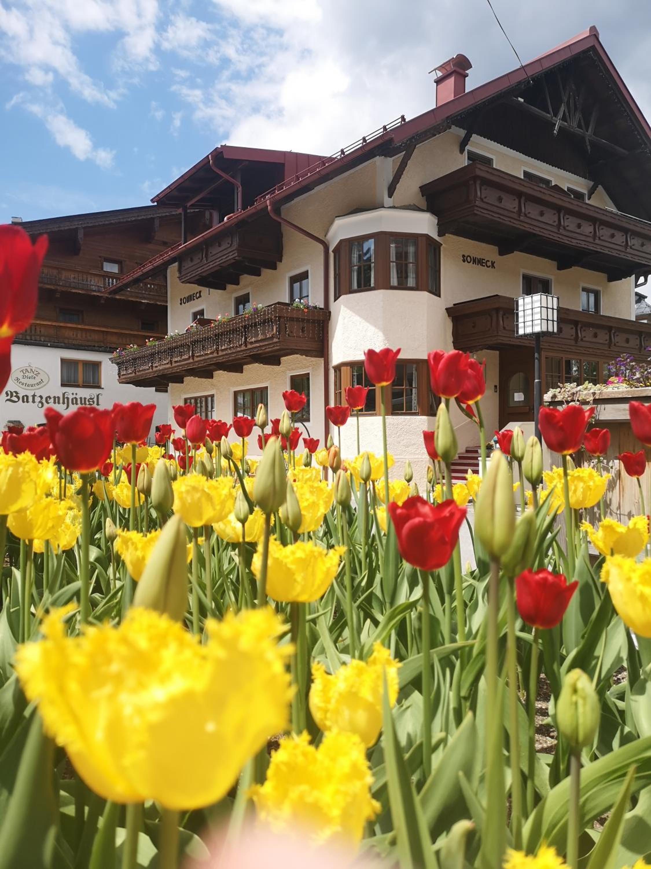 Chalet Sonneck