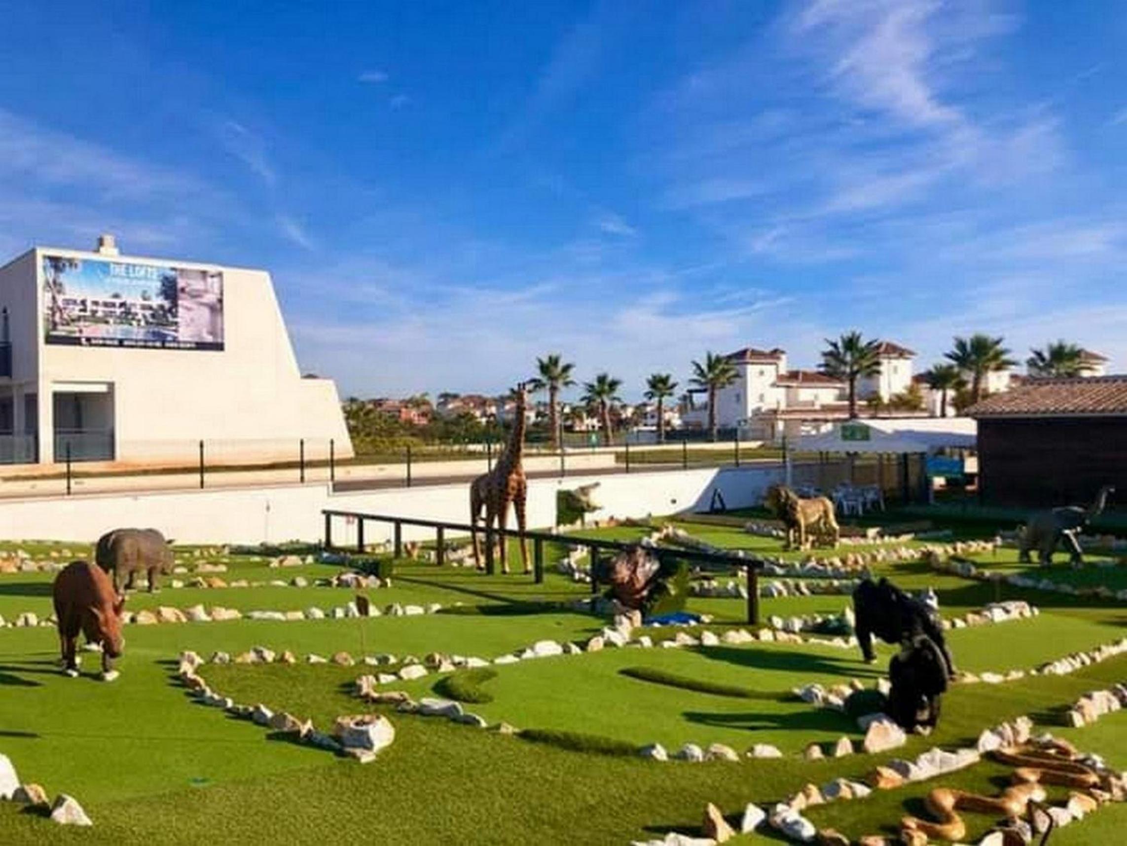 activities & amenities