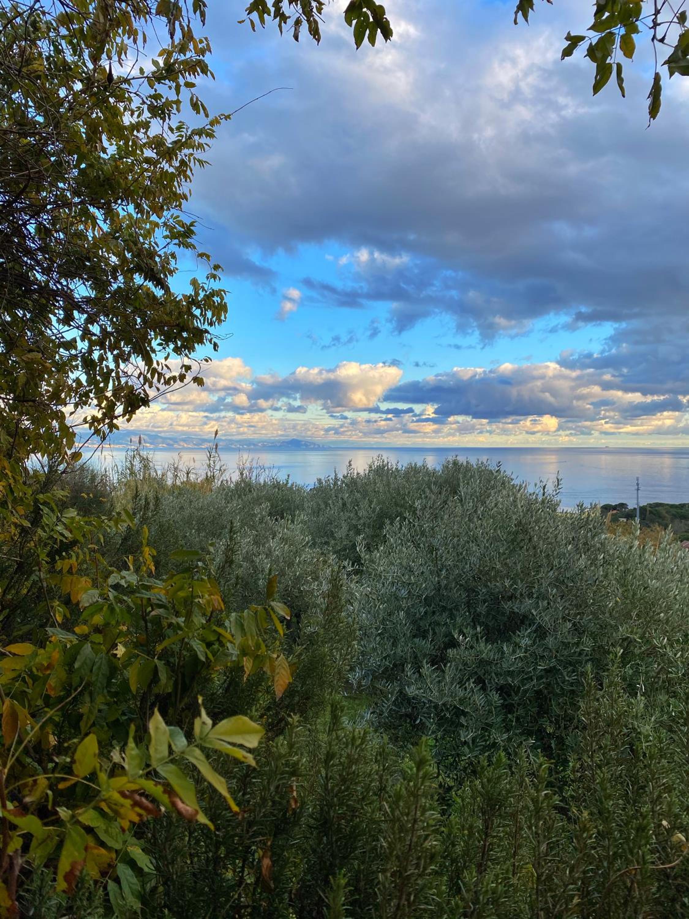 Agriturismo Natta Di Monte Tabor