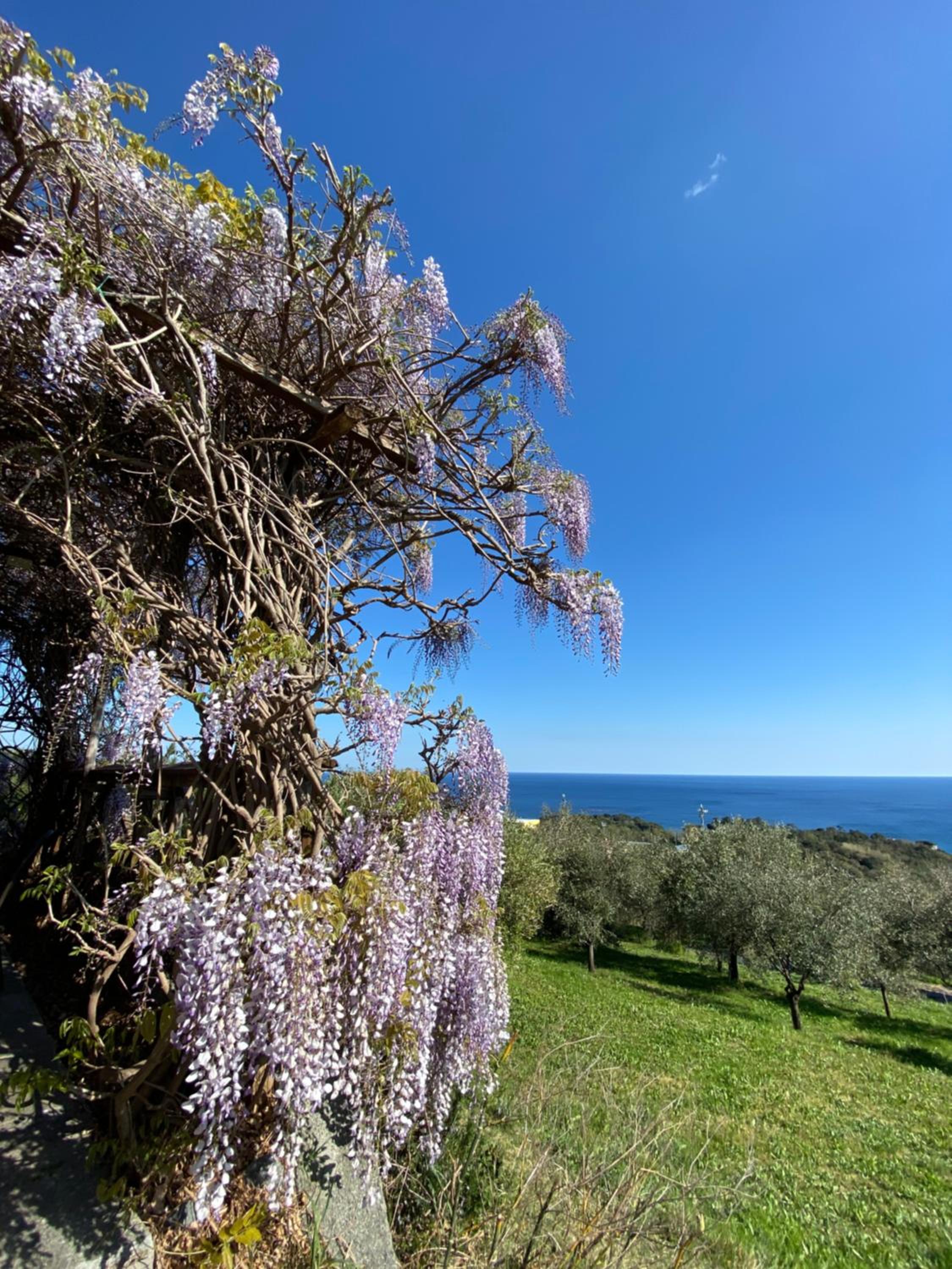 Agriturismo Natta Di Monte Tabor