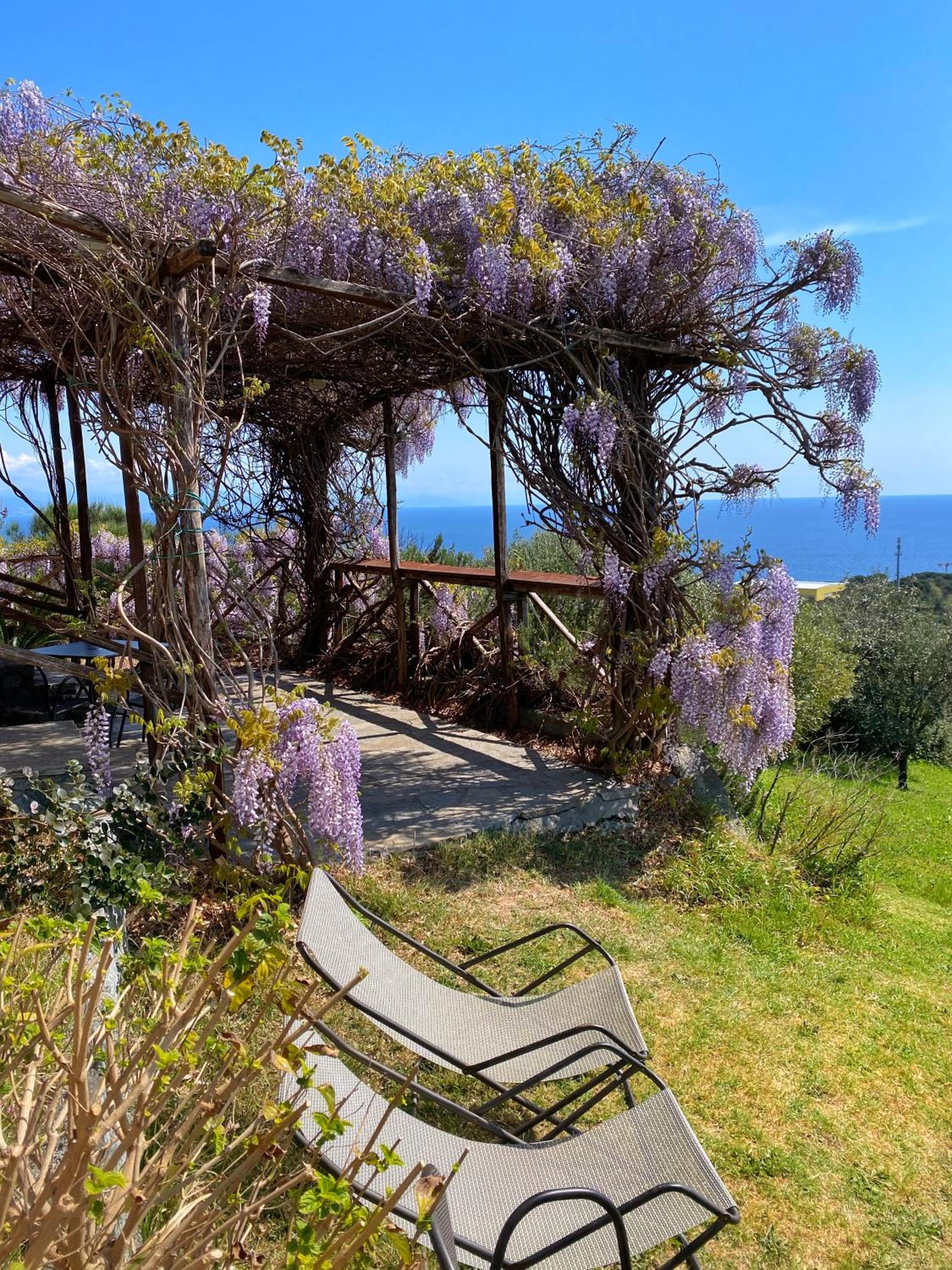 Agriturismo Natta Di Monte Tabor