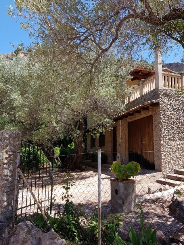 YourHouse Cas Sito - main view