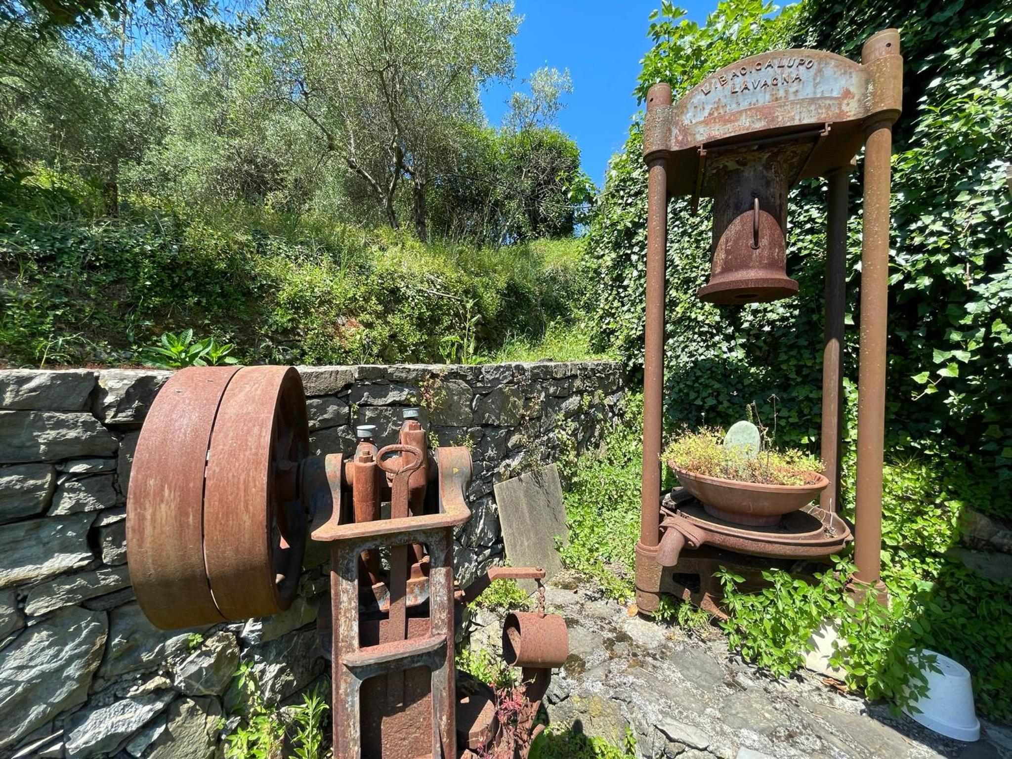 Il frantoio di Luna - Levanto, 5 Terre photo 4