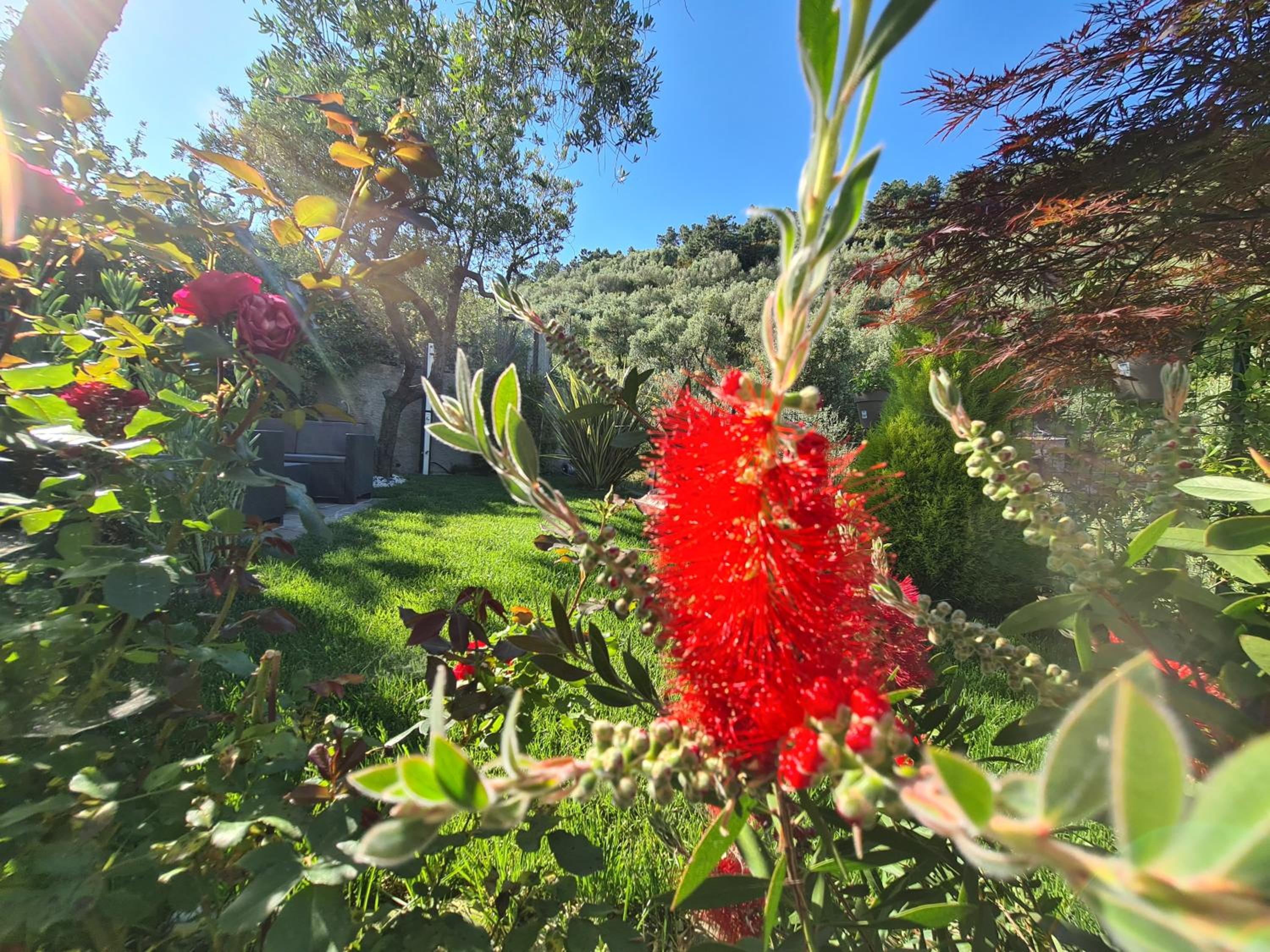 The Garden view 3