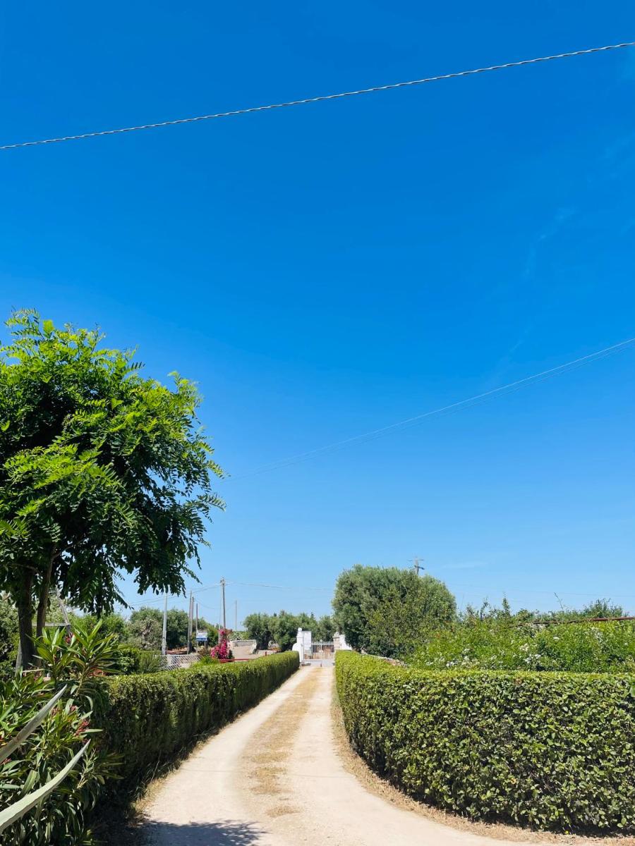 B&B Nonno Ciccio view 2