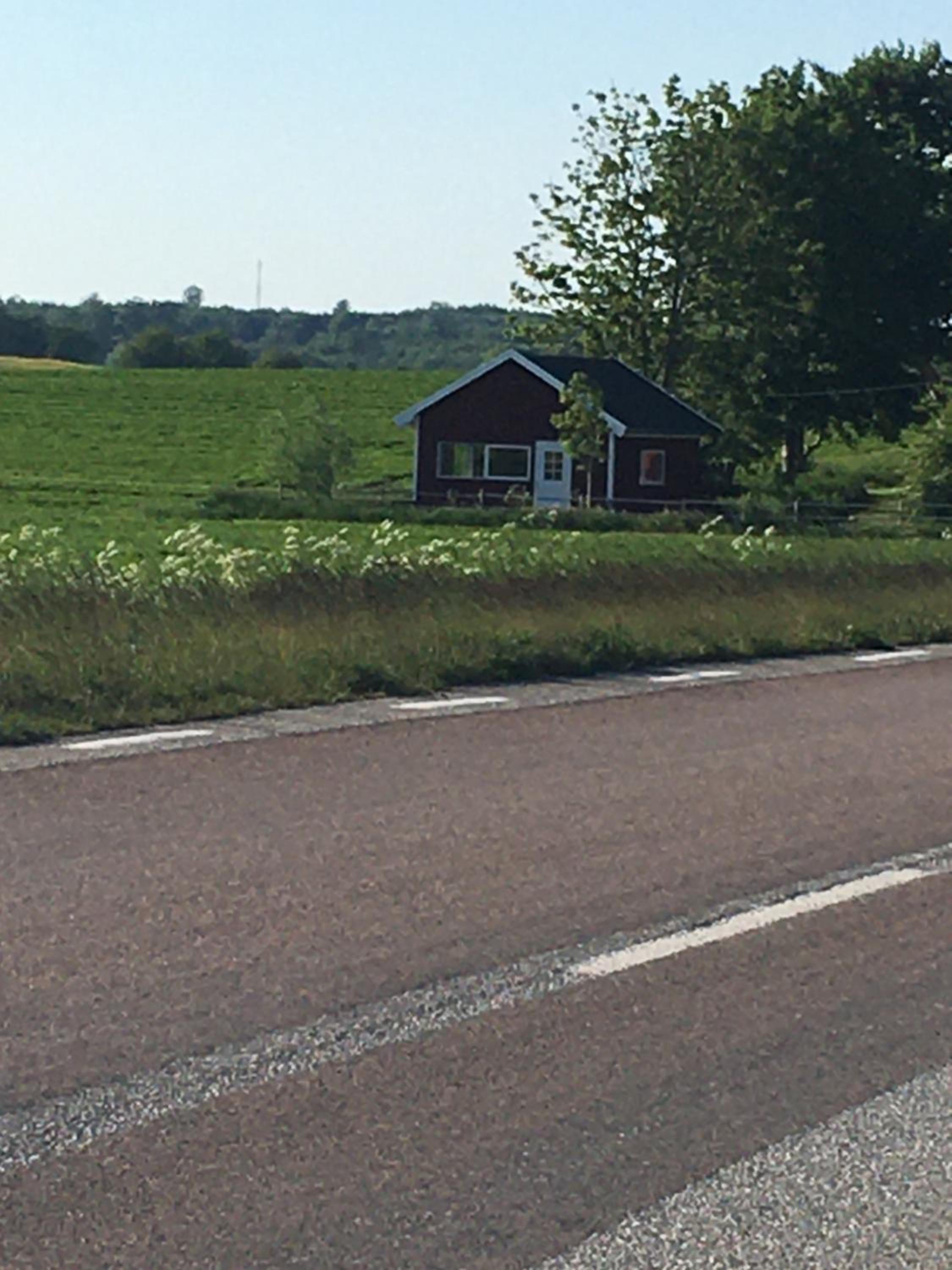 Photo 25