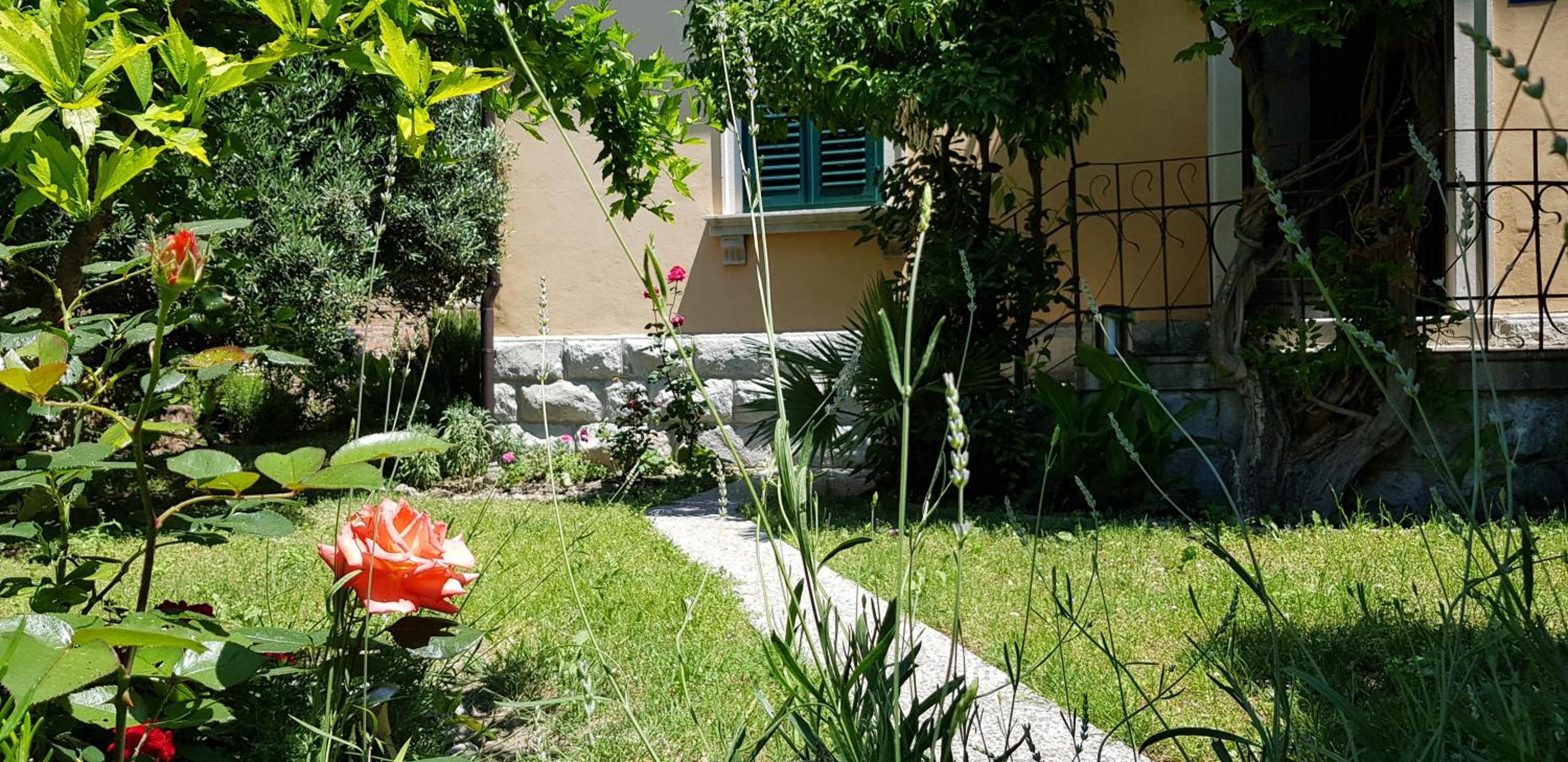 Photo 43