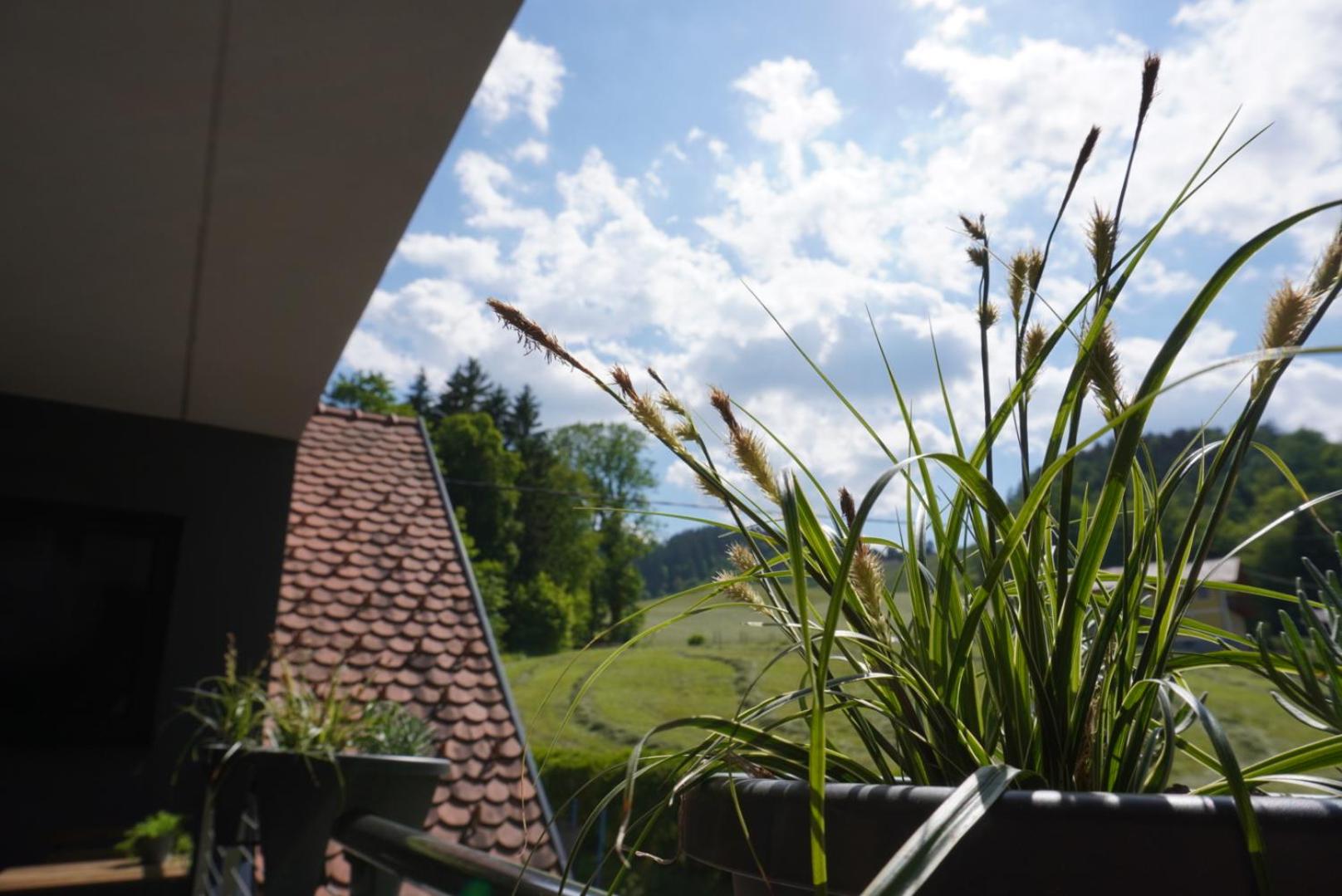 Ferienwohnung Heidi view 4