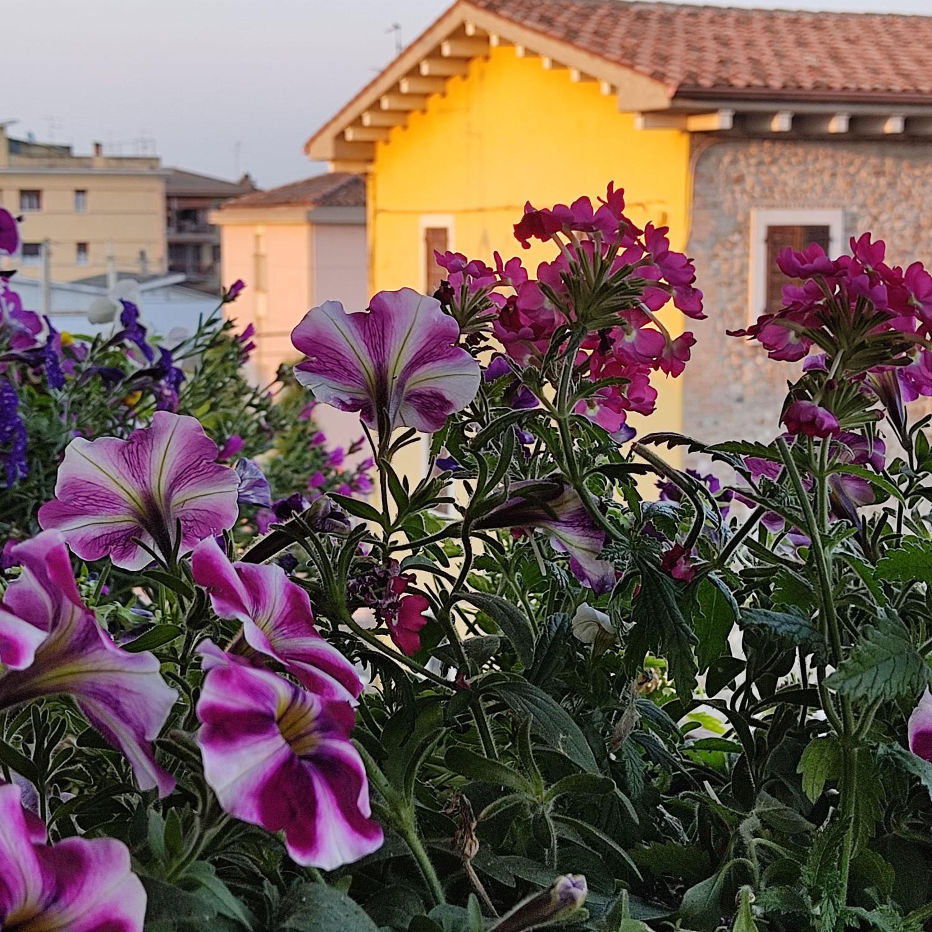 other