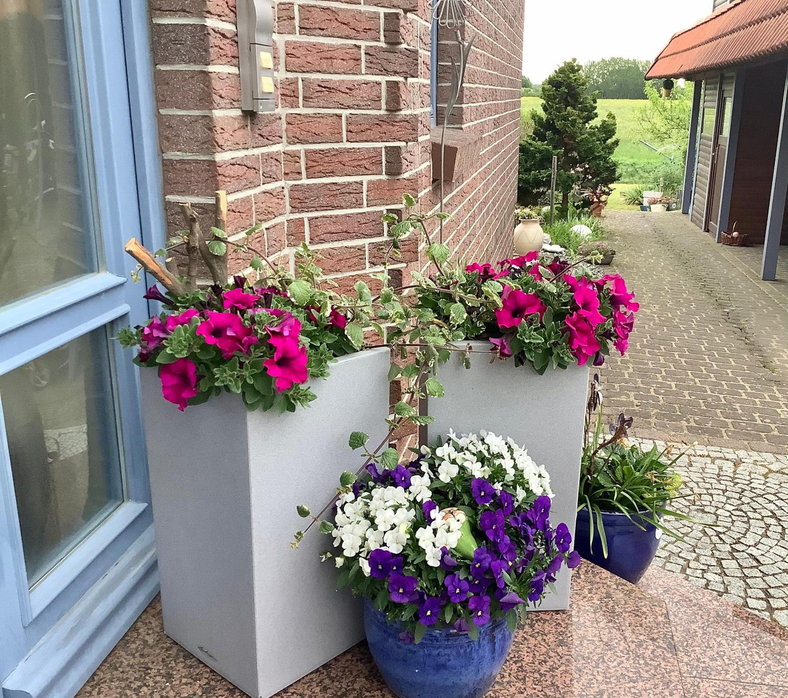 Haus Rose view 2