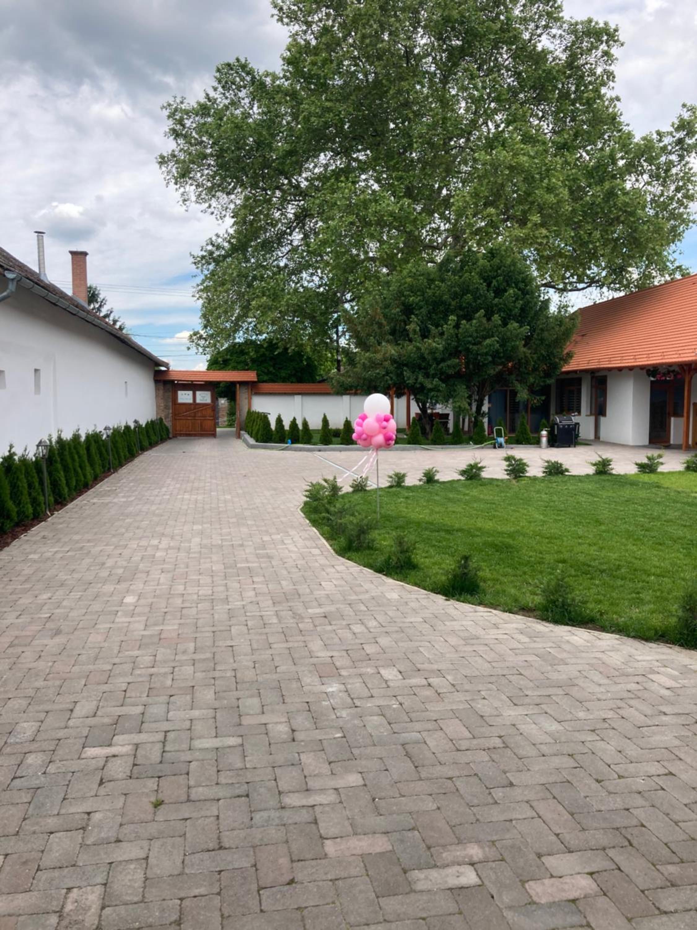 Photo 26