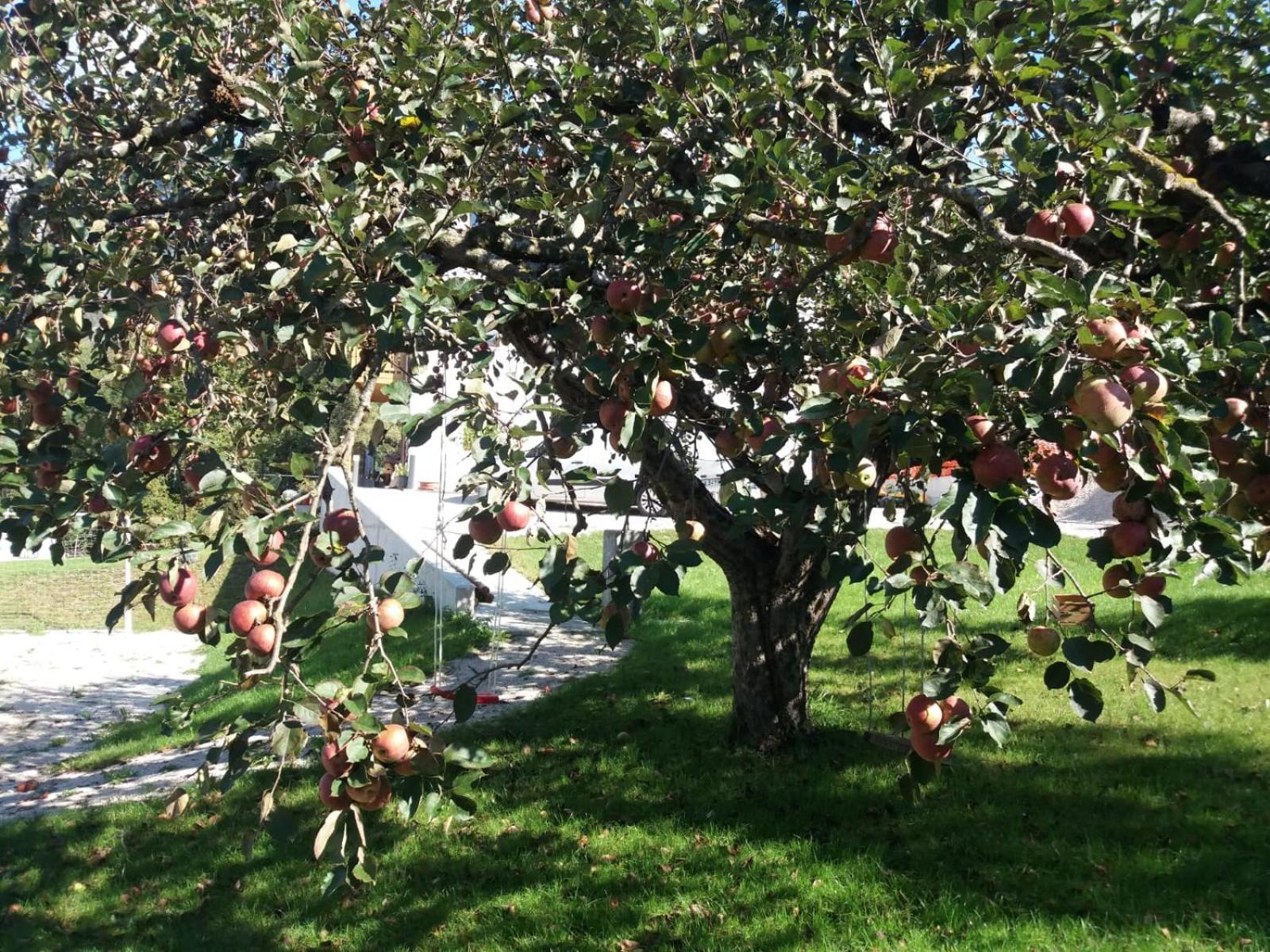 Antico Melo B&B