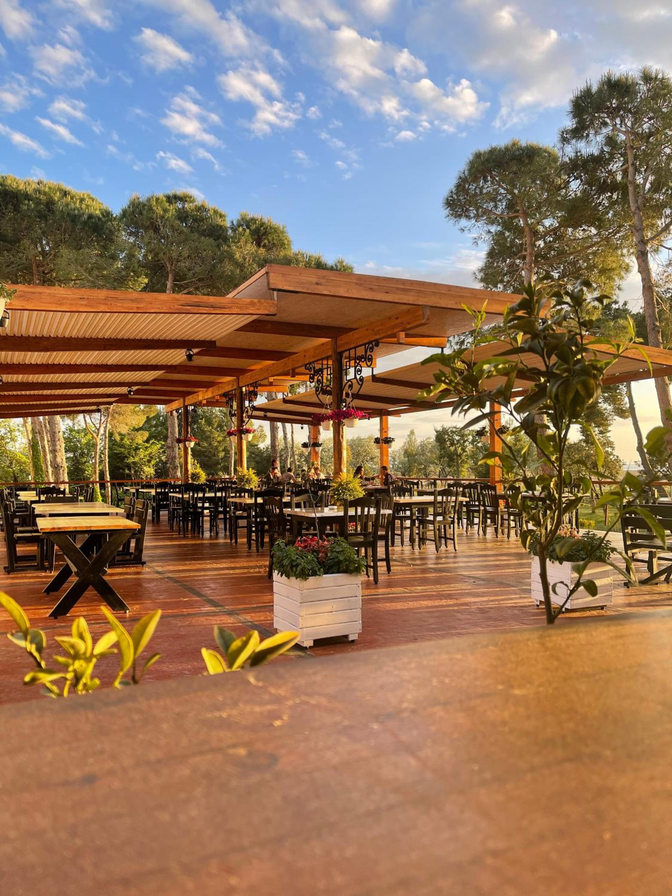 Divjaka Resort
