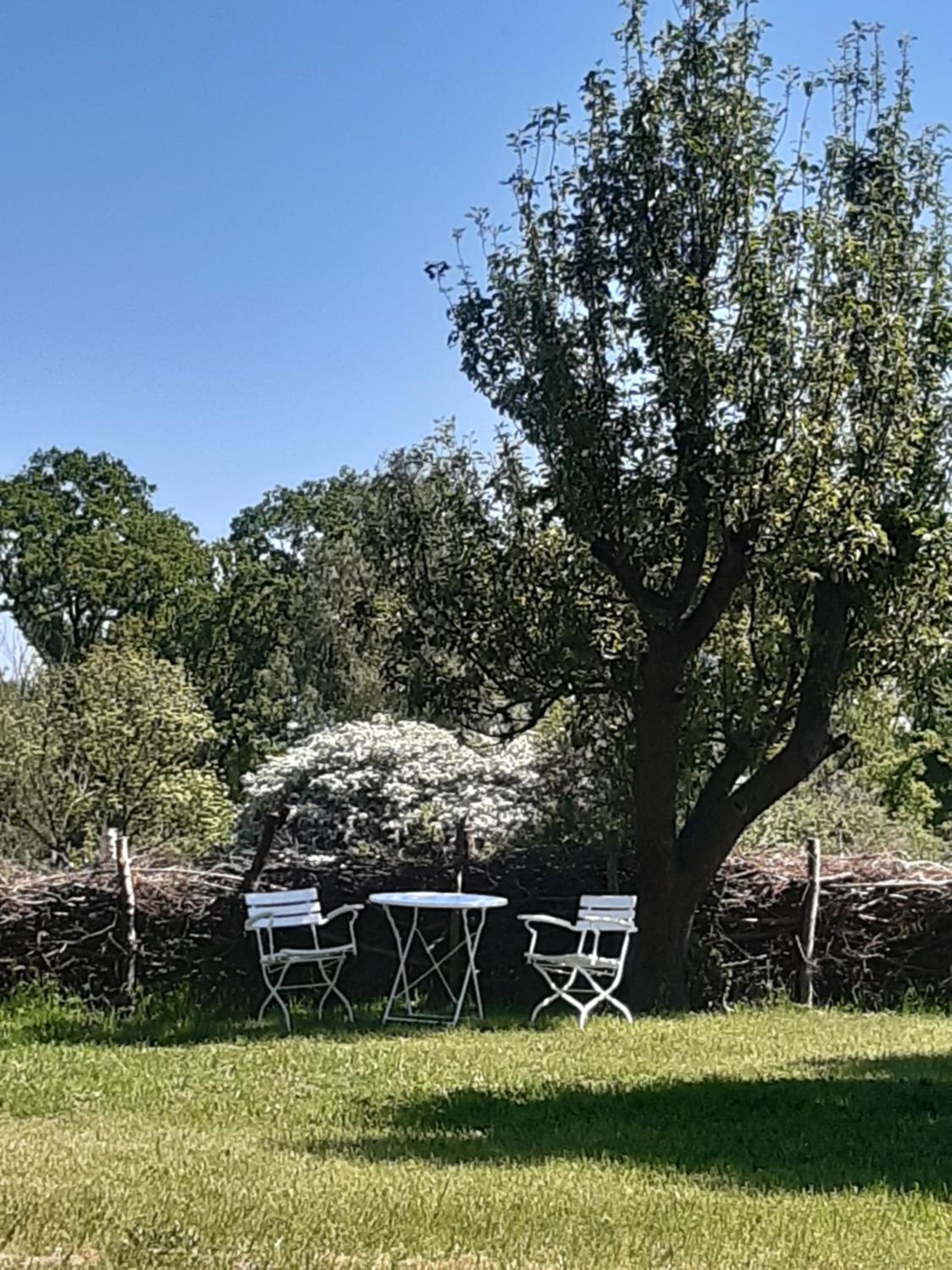 Ferienwohnung Wald und Weitblick view 4