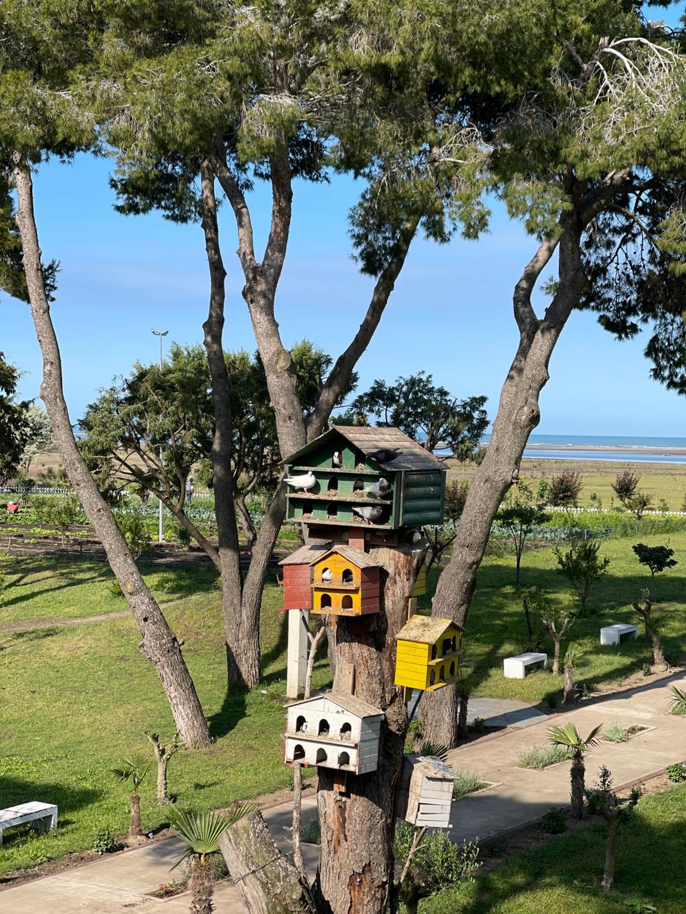 Divjaka Resort