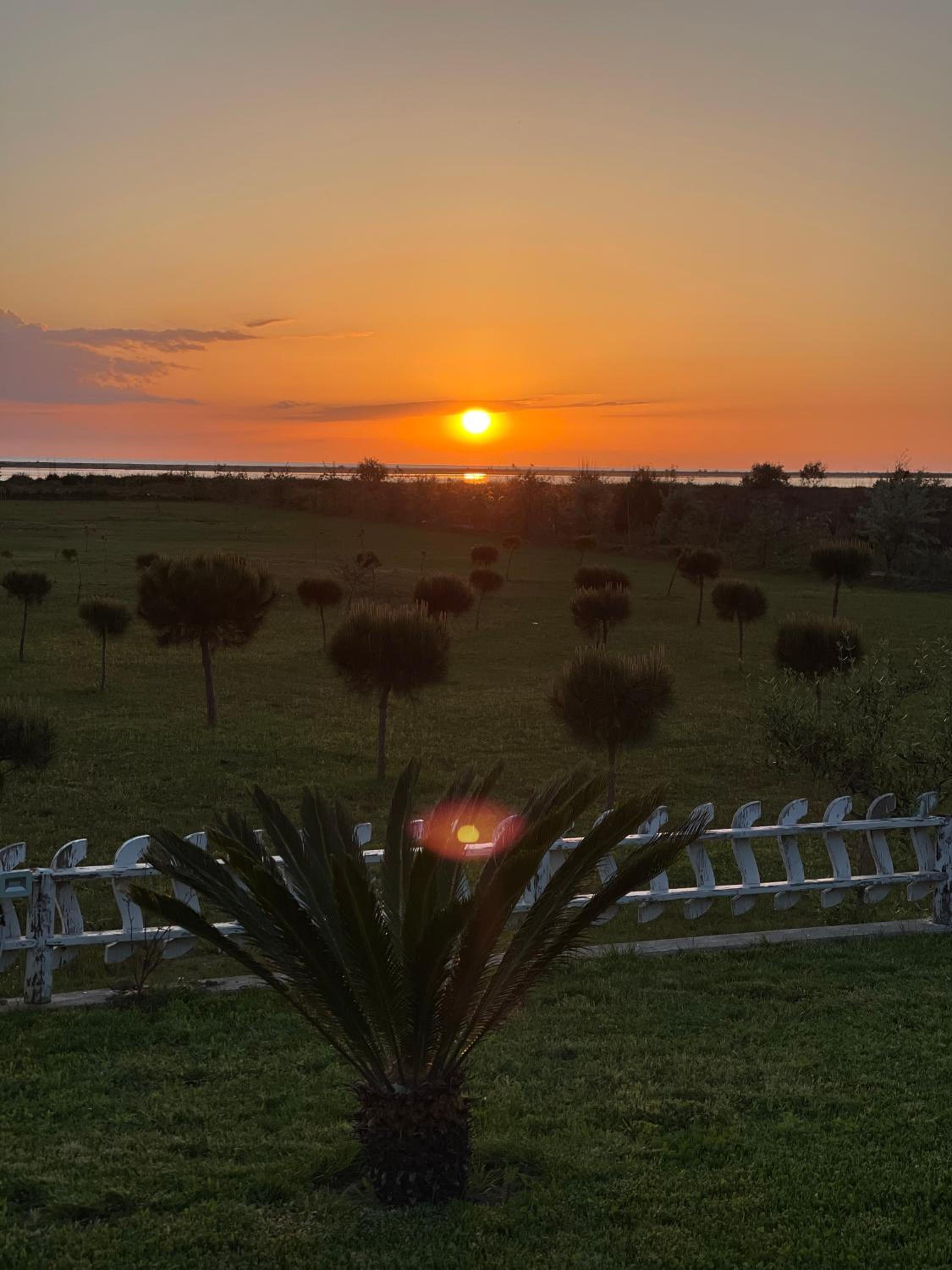 Divjaka Resort