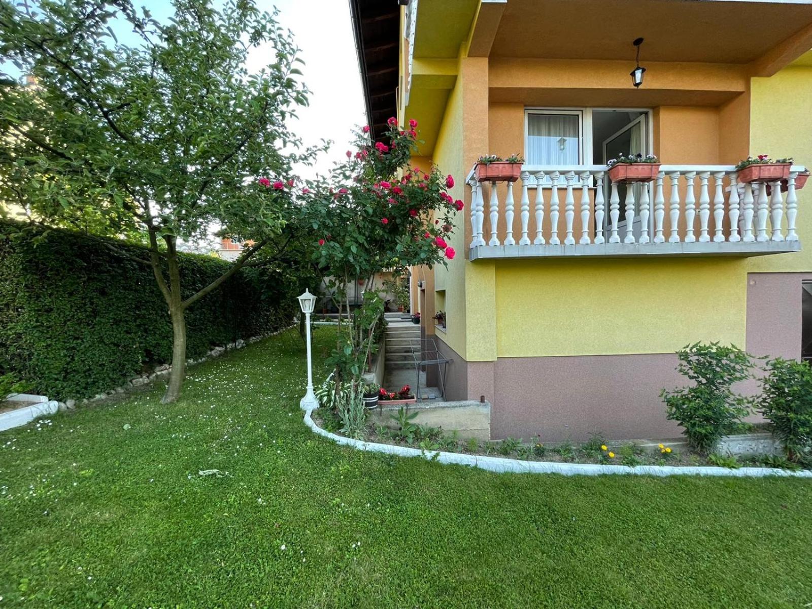 Sunny Garden Apartment
