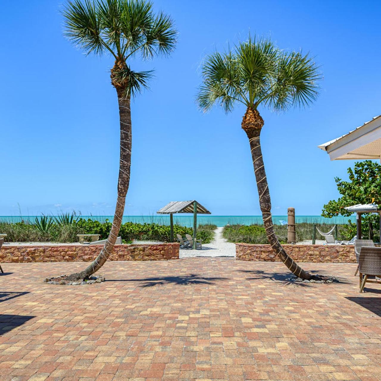 Suntan Terrace
