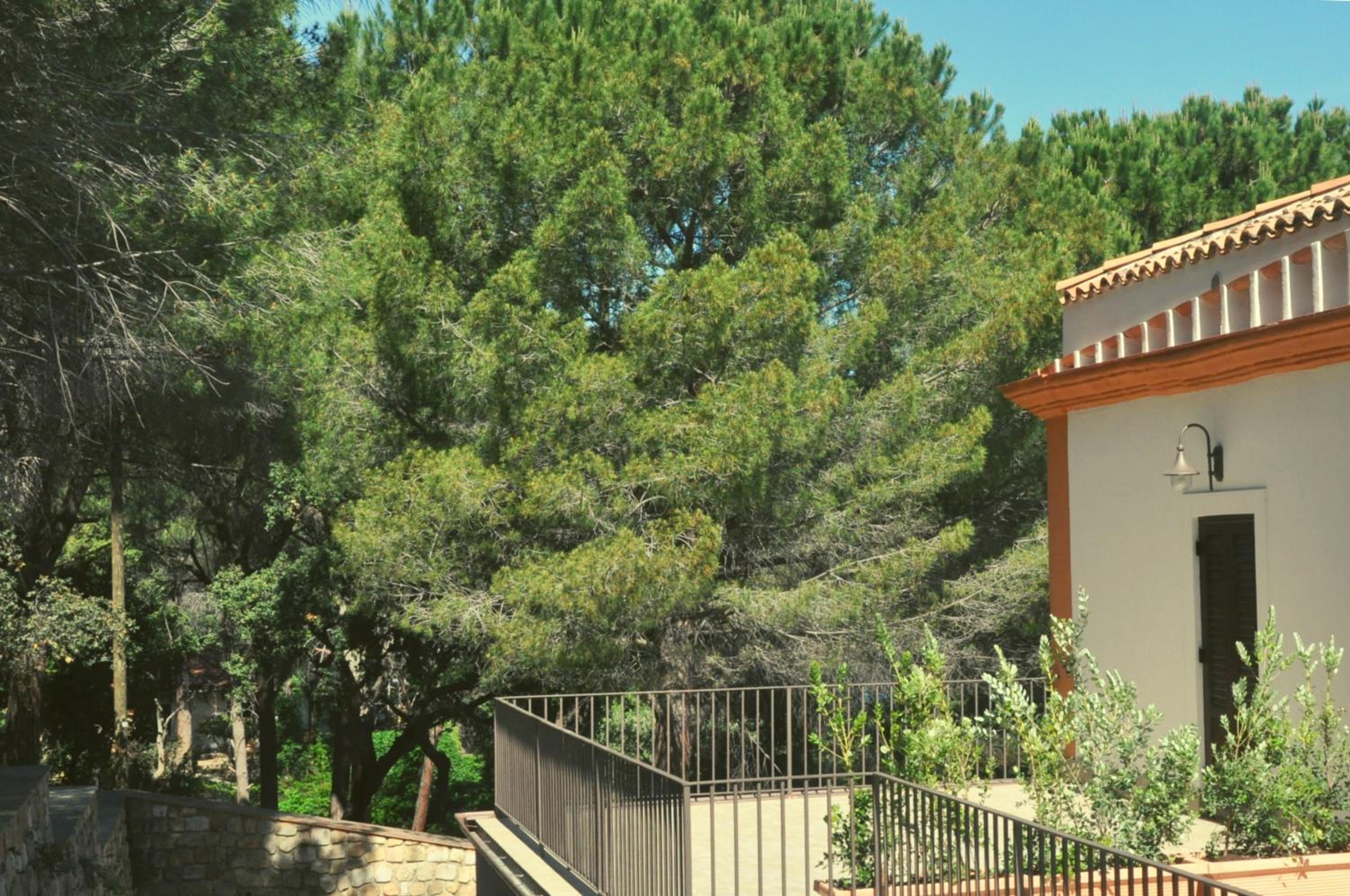 Hotel Villa del Vescovo — photo 4