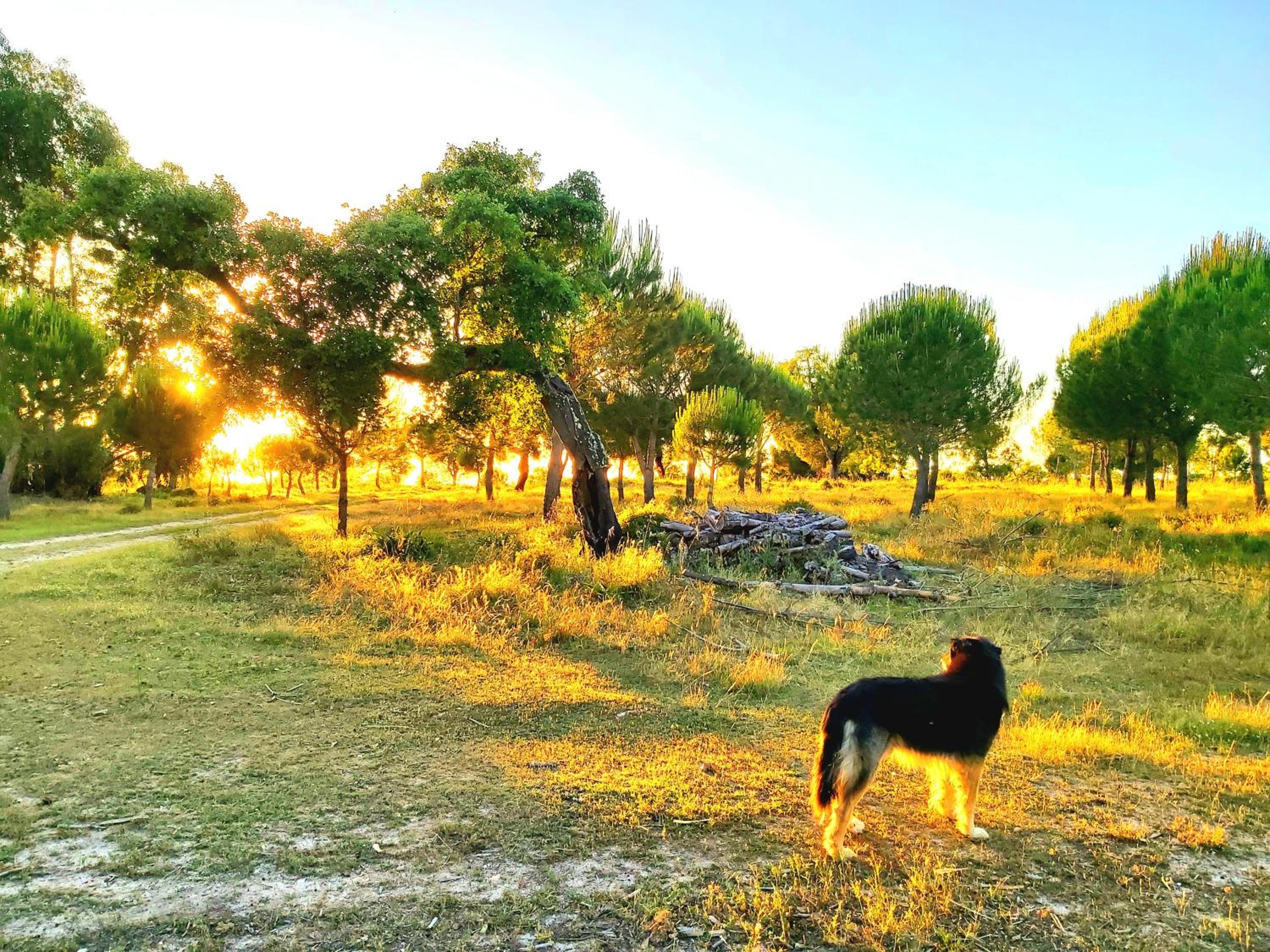 Casas Herdade do Convento da Serra view 4