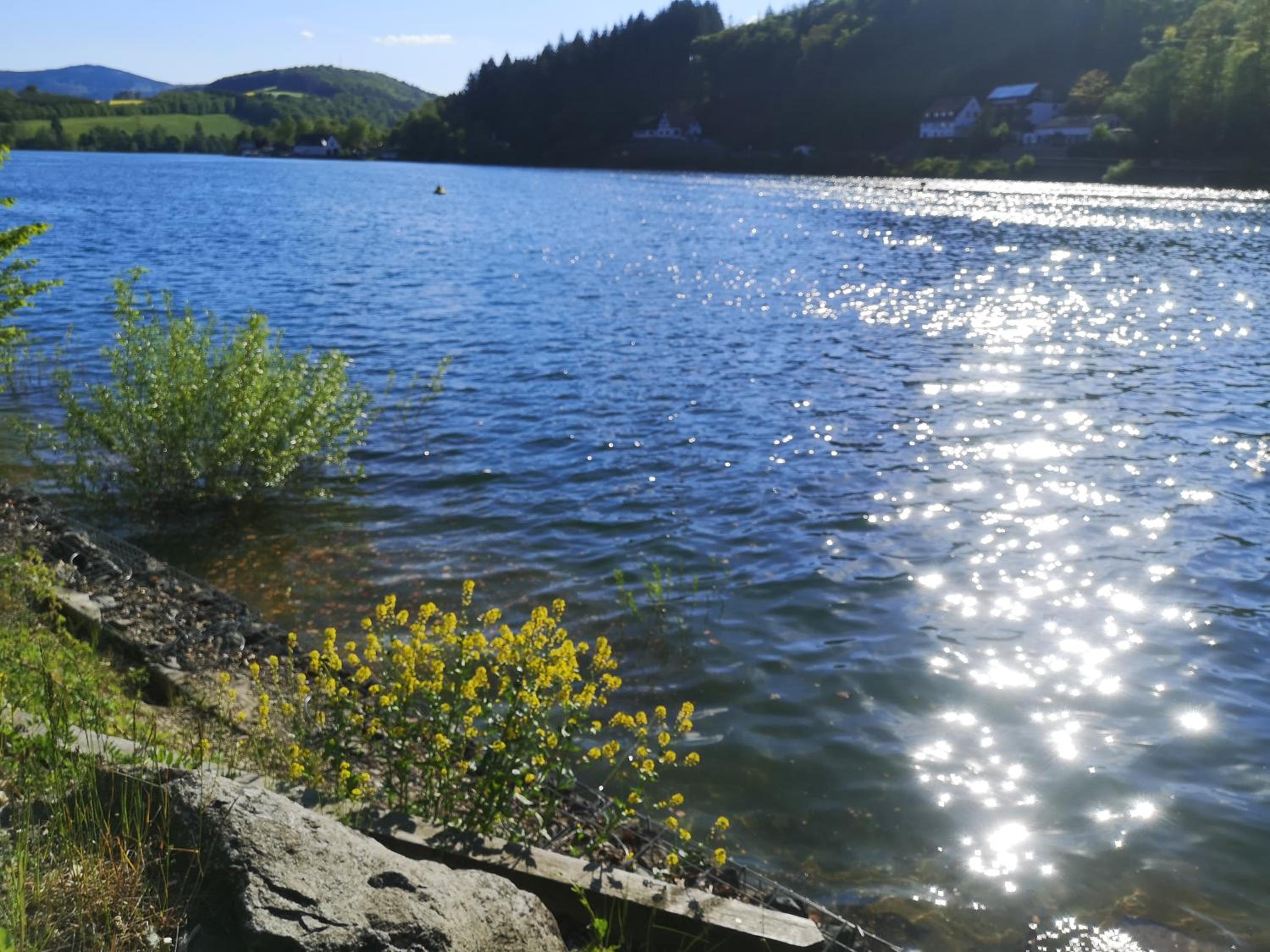 Top Ferienwohnung am Diemelsee, Sauerland Nähe Willingen Winterberg