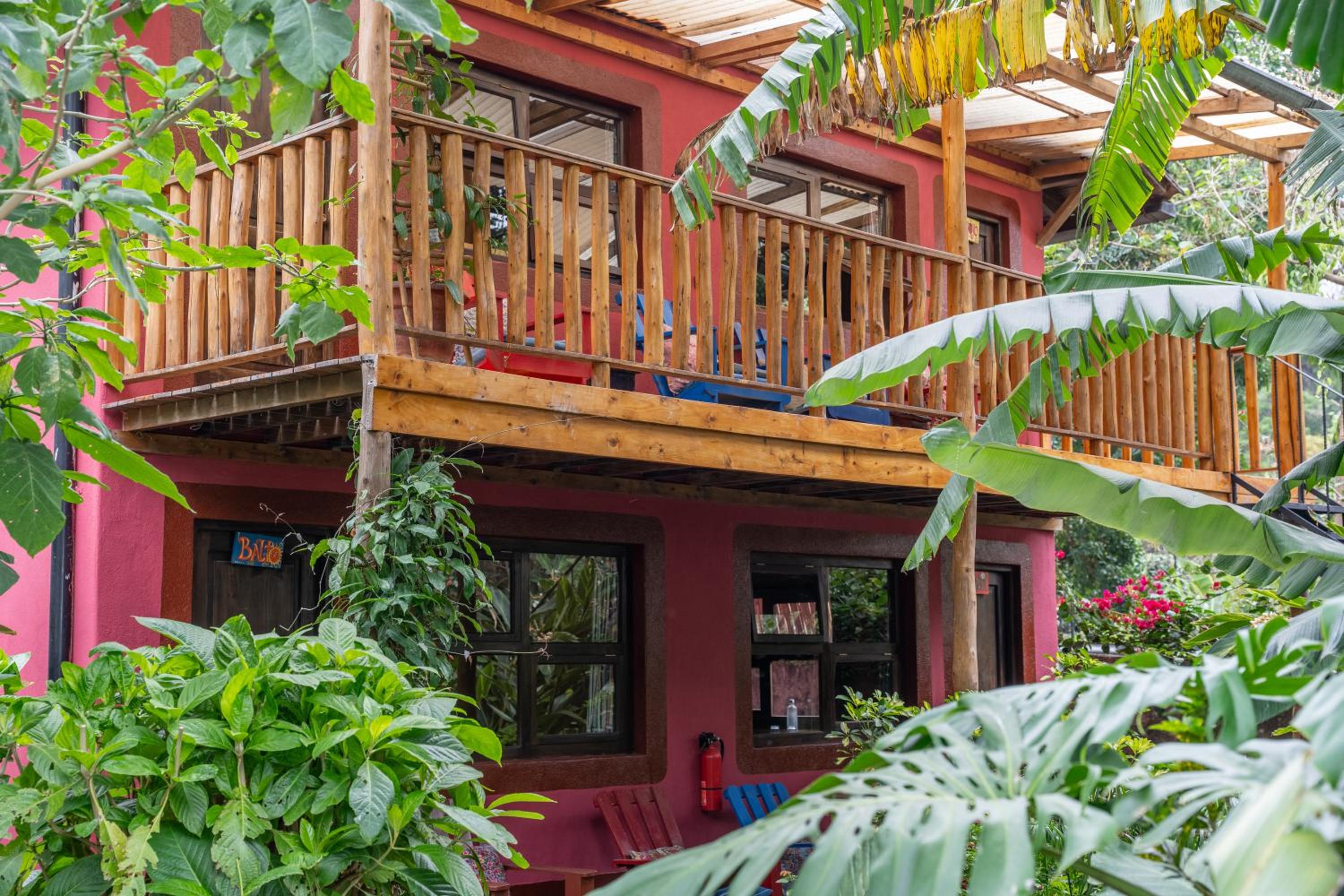 La Iguana Perdida - Hostel 77