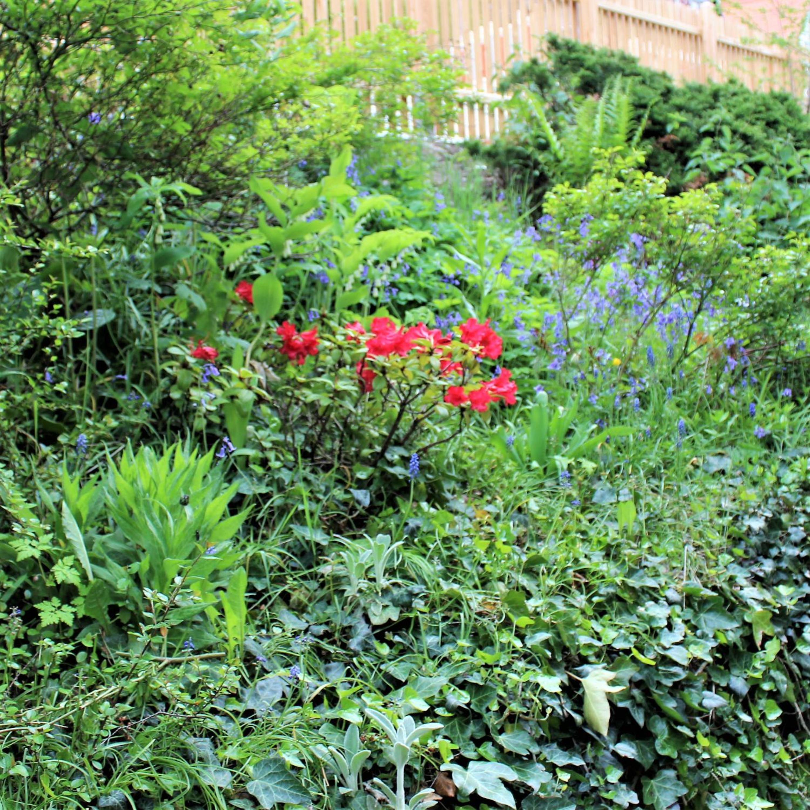 Photo 22